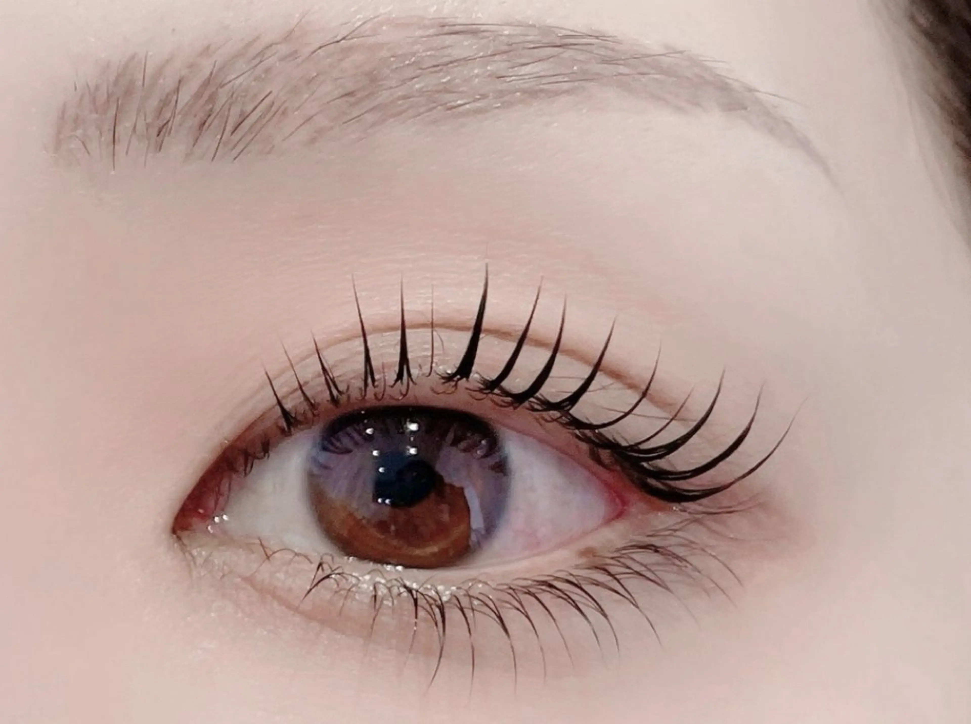 《ご新規様限定✨》上下ラッシュリフト🌹の写真