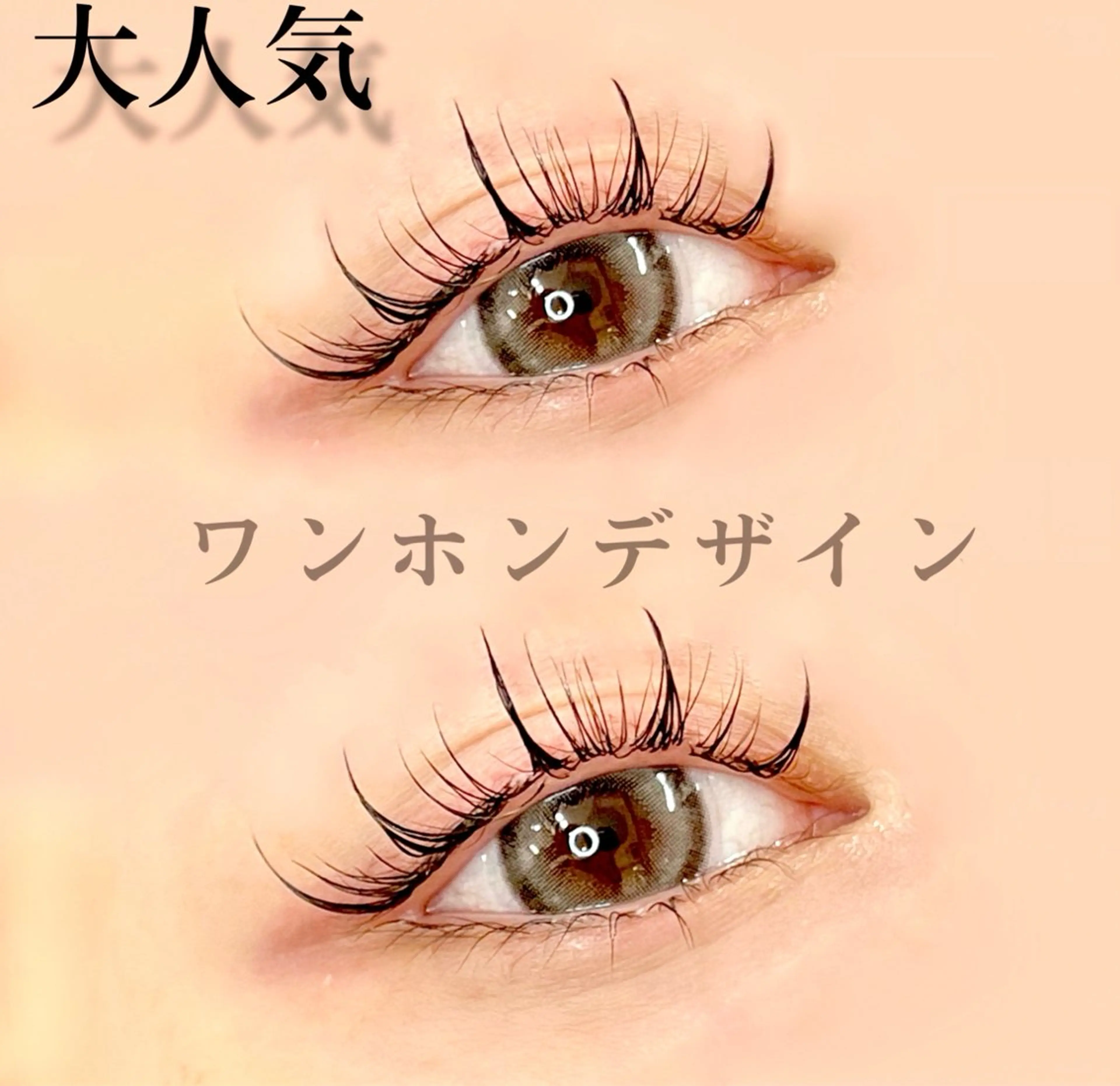 【大人気】🧡🇰🇷ワンホン・チャイボーグまつ毛エクステ100本　🇰🇷🧡7700円の写真