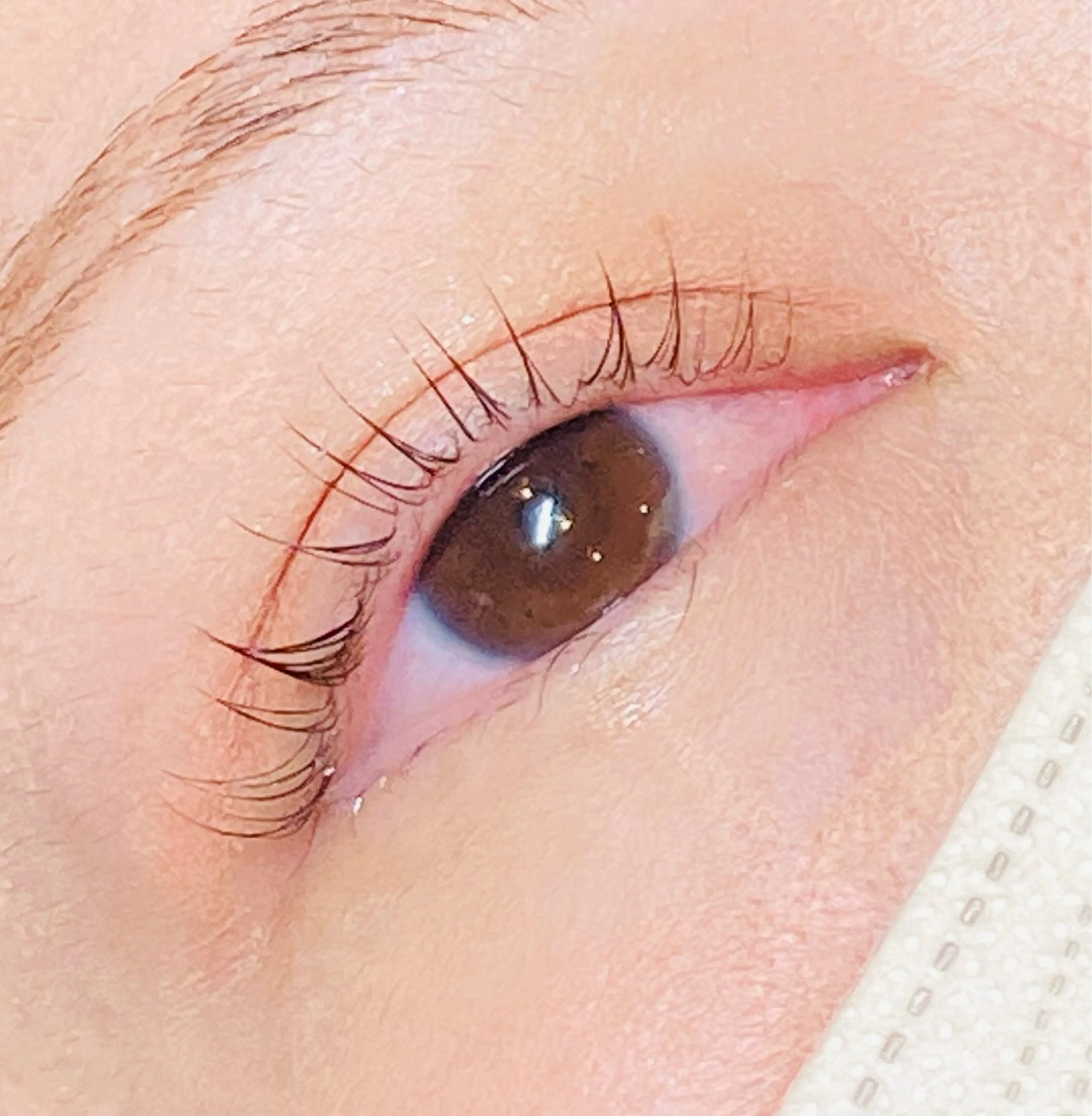 マツエク・マツパ 一重×まつ毛パーマ Armeria Eyelash & Nail所属・中島 夕菜のマツエク・マツパデザイン