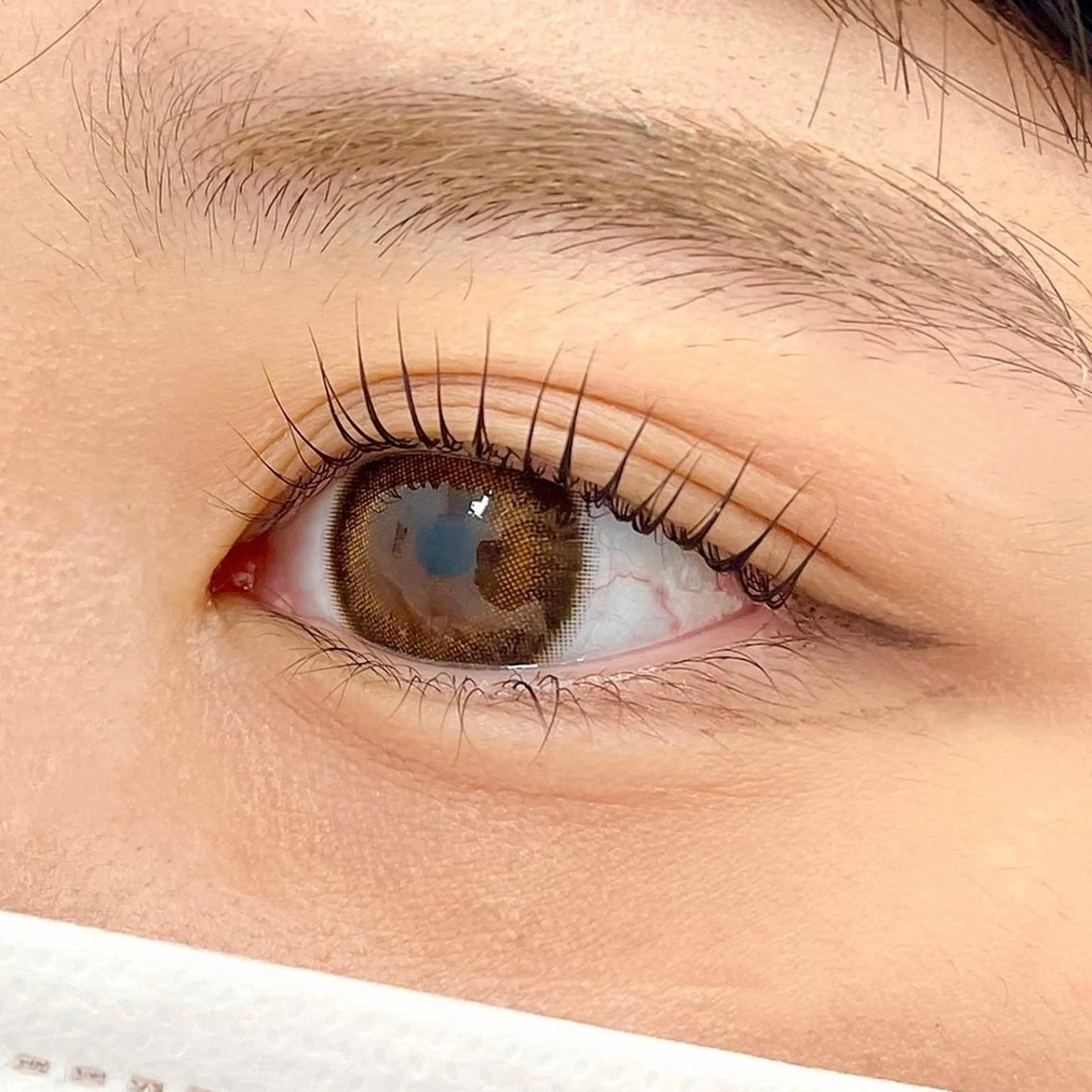 マツエク・マツパ treat eyelash & nail salon 阪急西宮ガーデンズ店(別館)所属・treat 西北店の眉毛・アイブロウイメージ