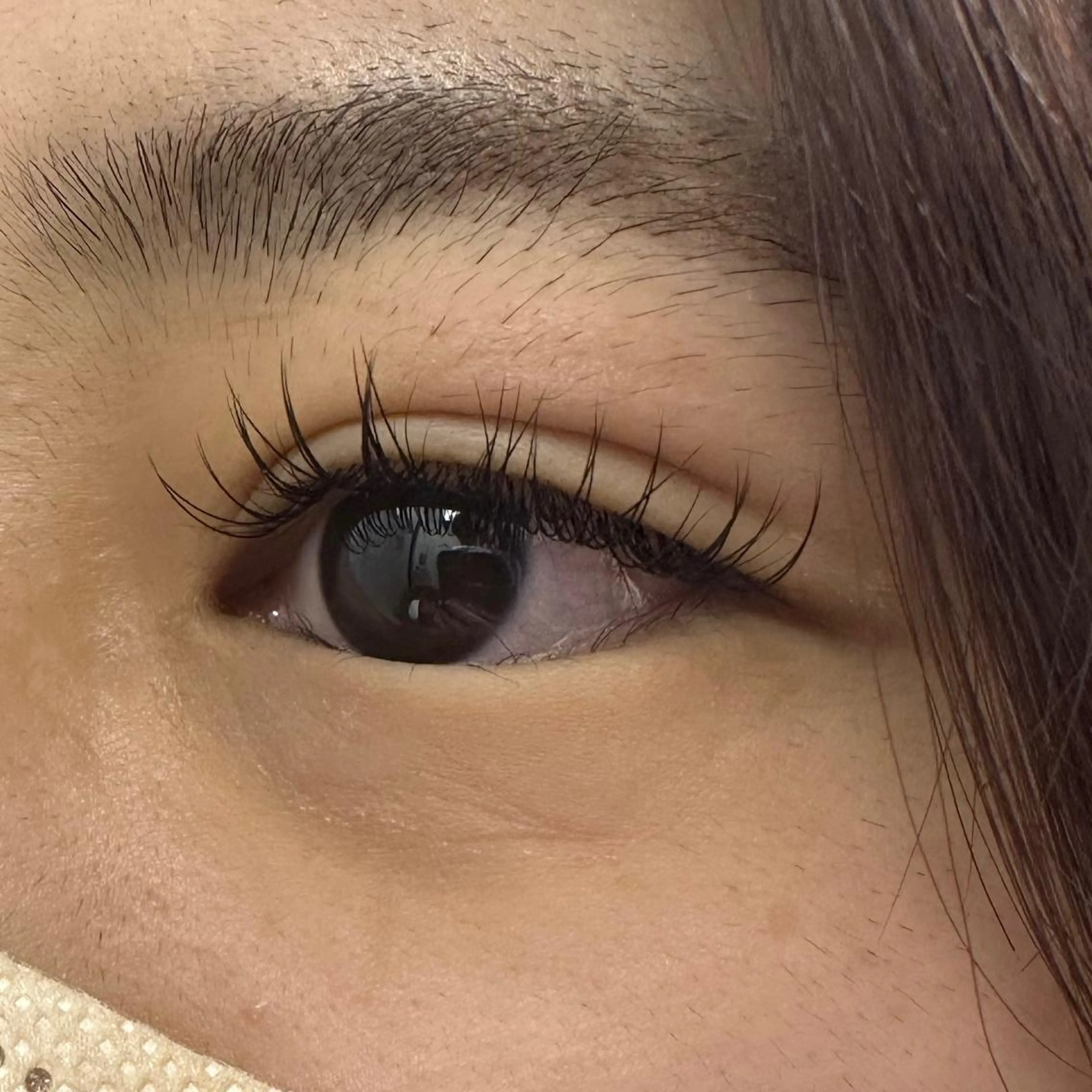 マツエク・マツパ Dカール Miyu🦄ash メンズカット/まつげのヘアスタイル