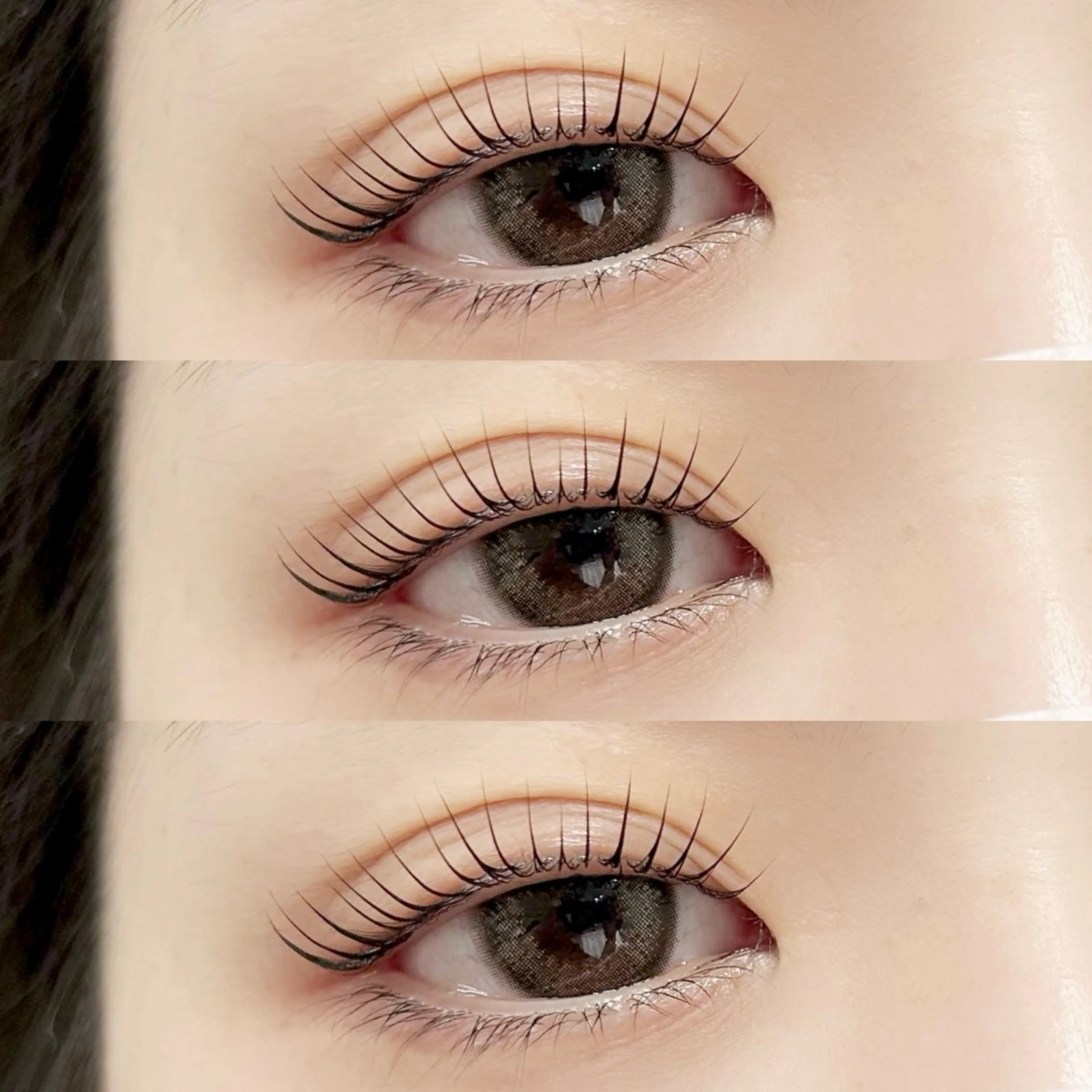 当日限定❕ラッシュリフト🌿トリートメント仕上げ✨の写真