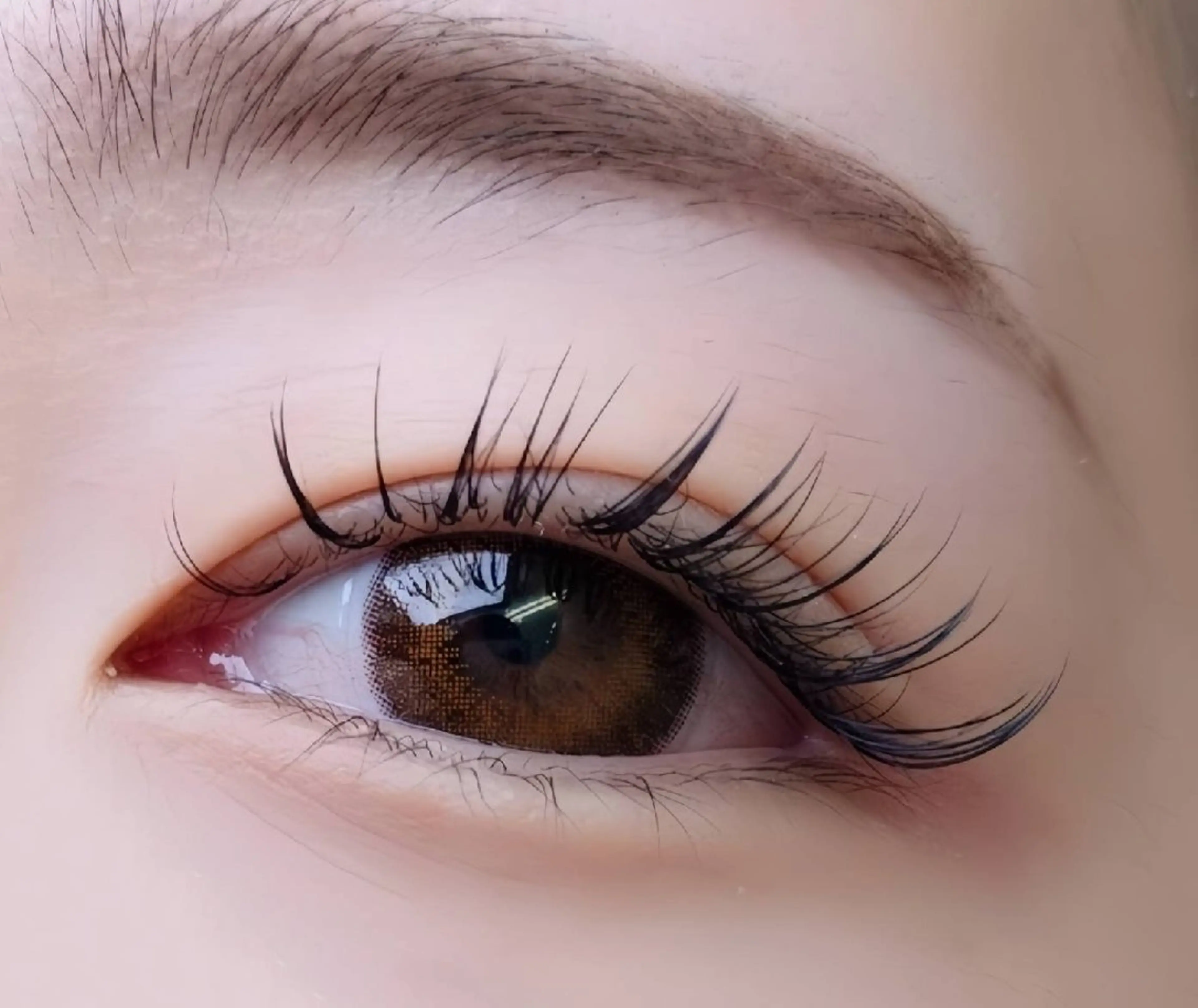 バインドロック60束（オフ無料）の写真