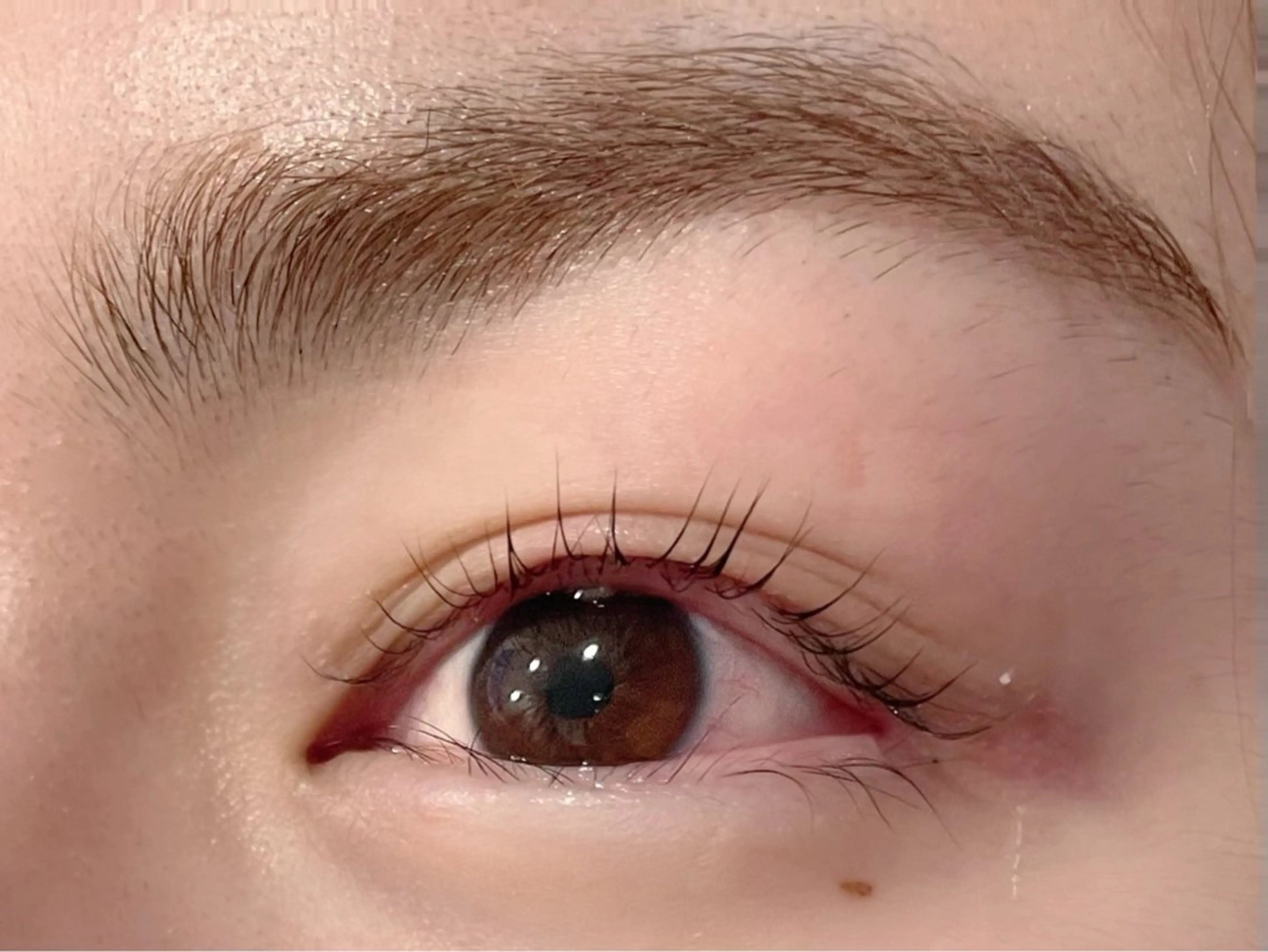 マツエク・マツパ マツパ Carina所属・🦋Carina荻窪 kazumi🦋のマツエク・マツパデザイン