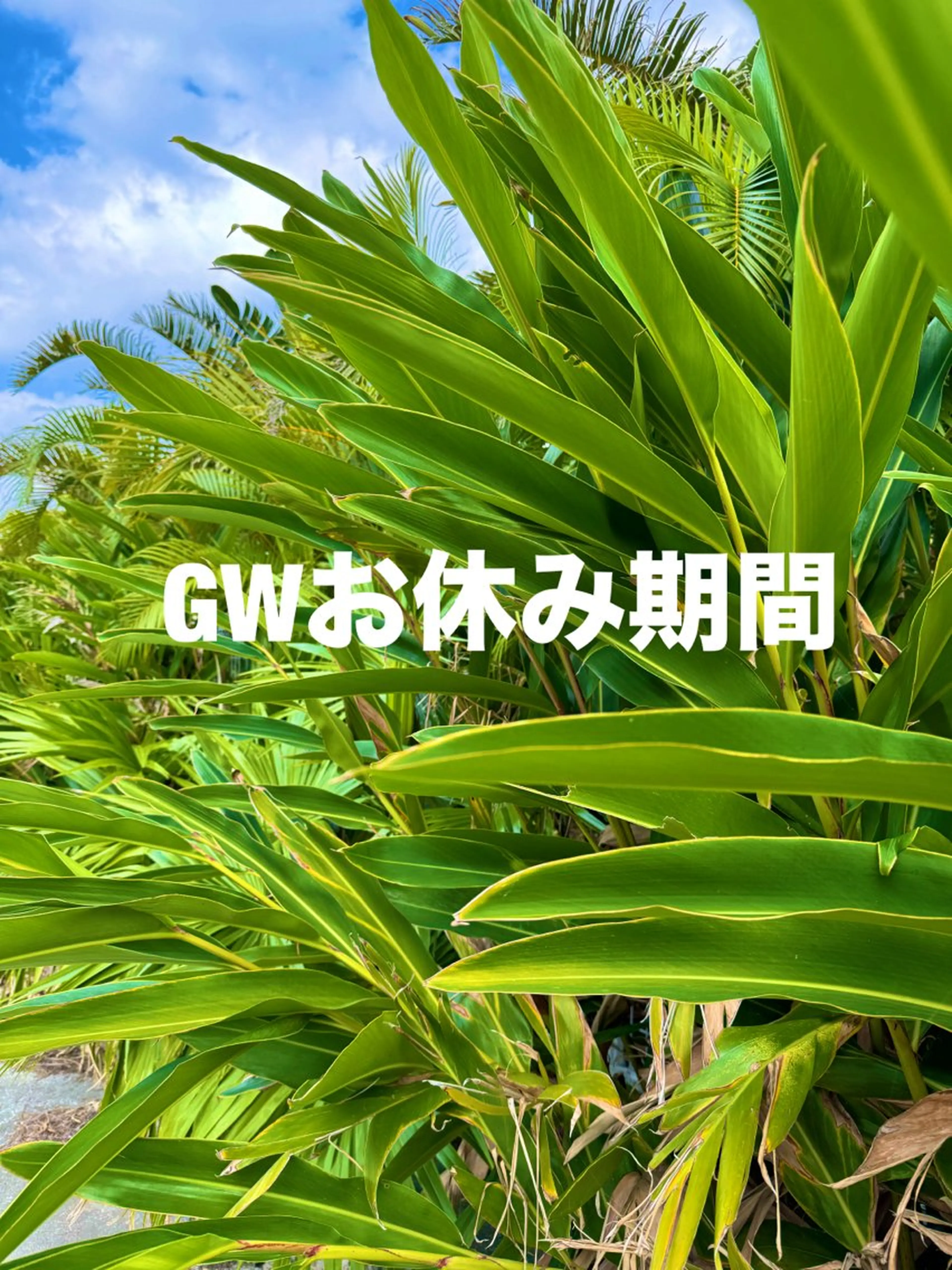 ネイル lune nail_2017のその他イメージ