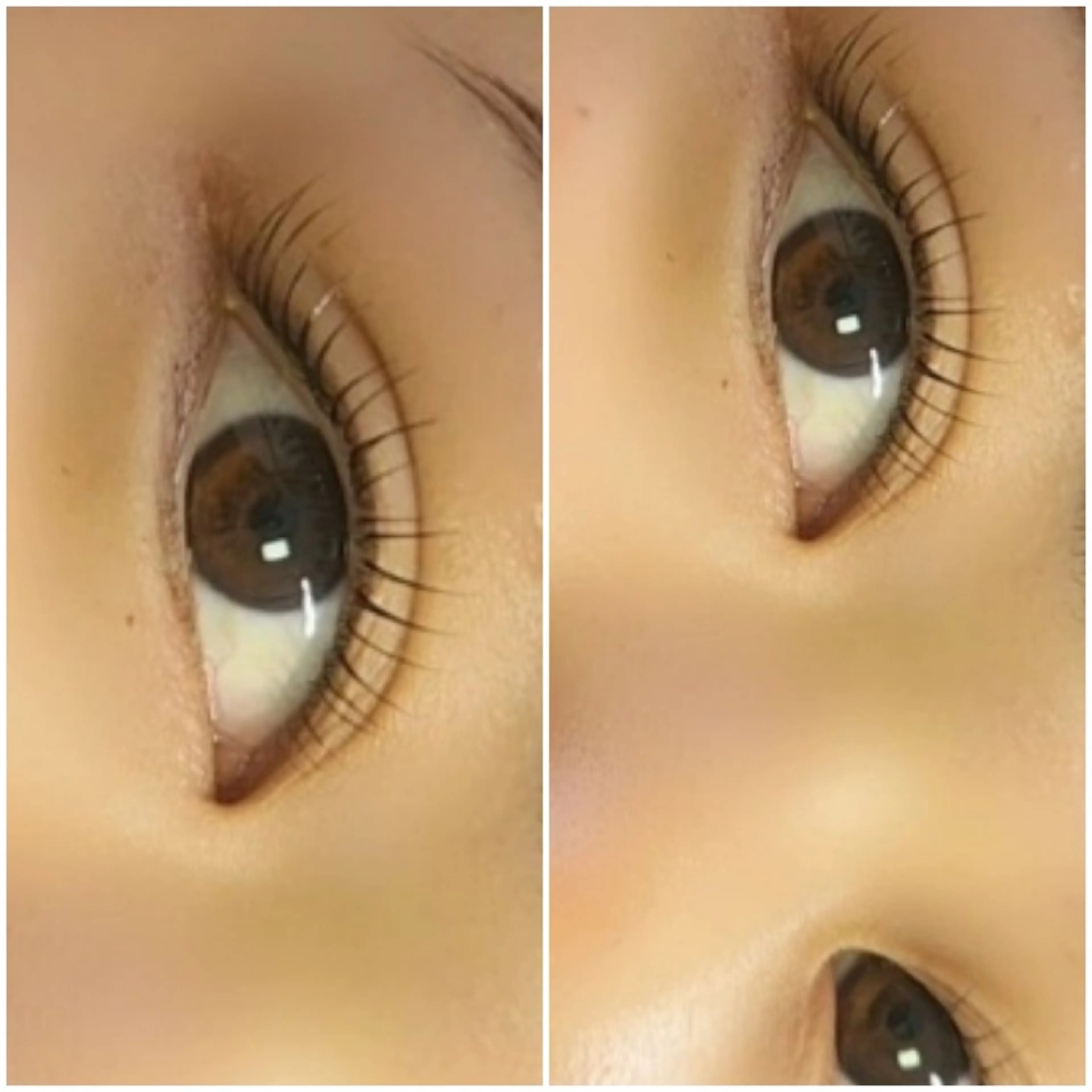 マツエク・マツパ マツパ 宜野湾Eyelash w/の眉毛・アイブロウイメージ