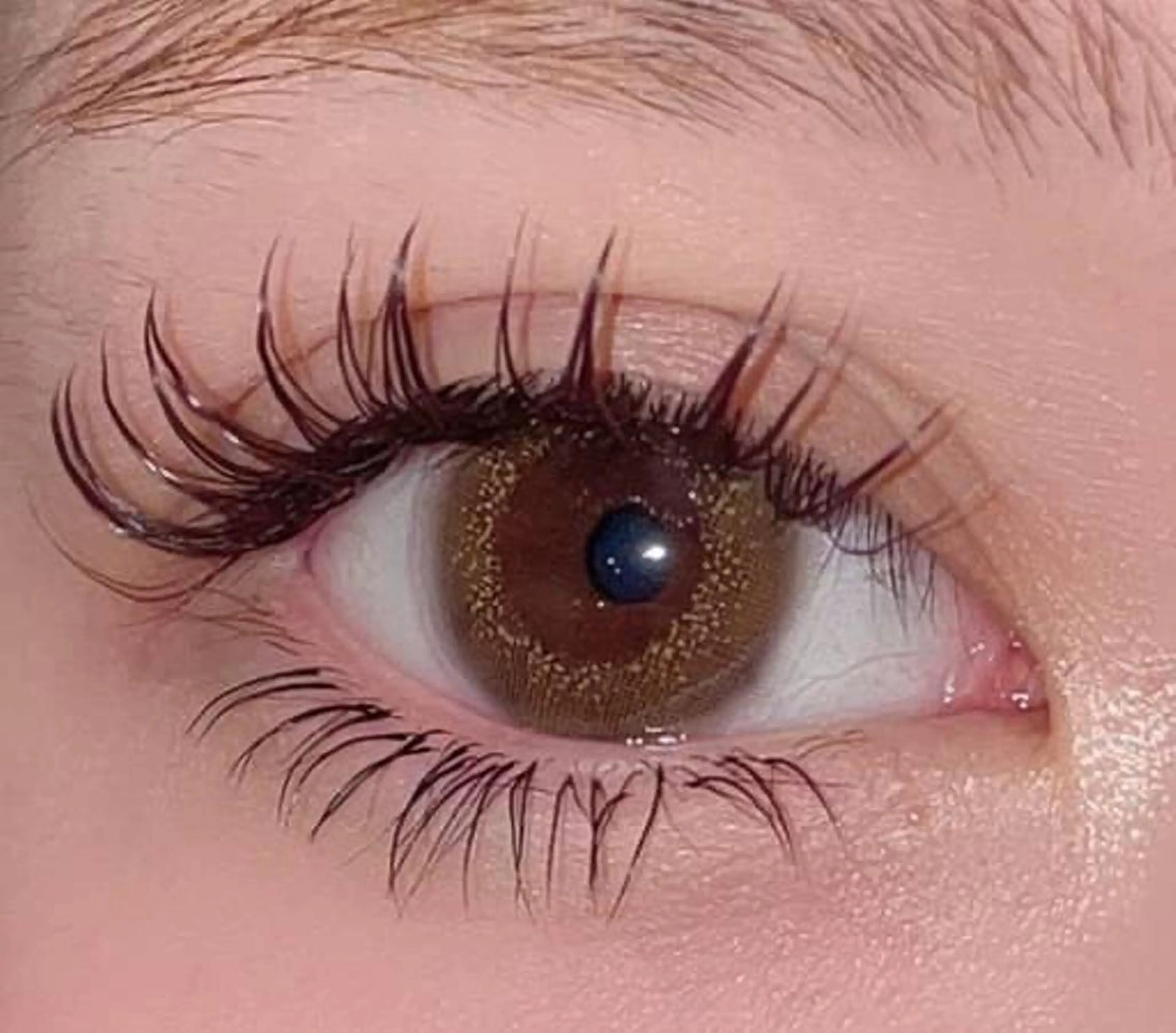 Flat Matte Lash🥀100本の写真