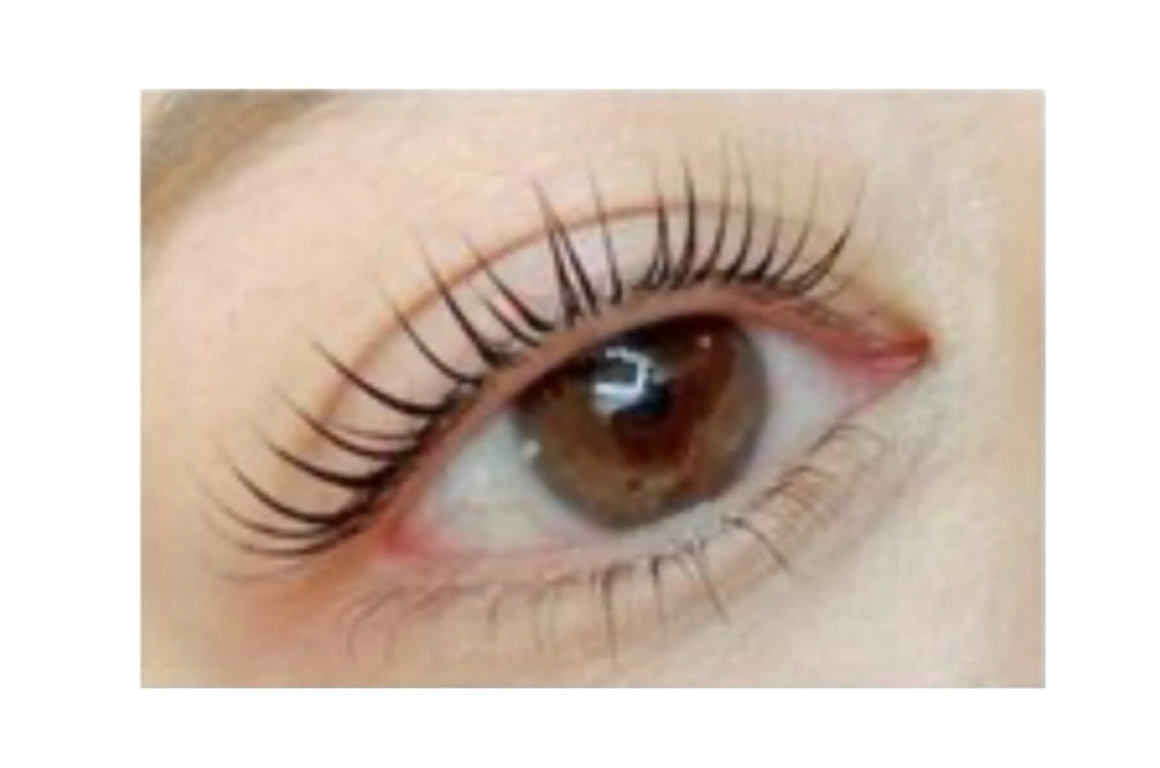 ☆韓国発☆マスカラパーマ¥7900→6000の写真