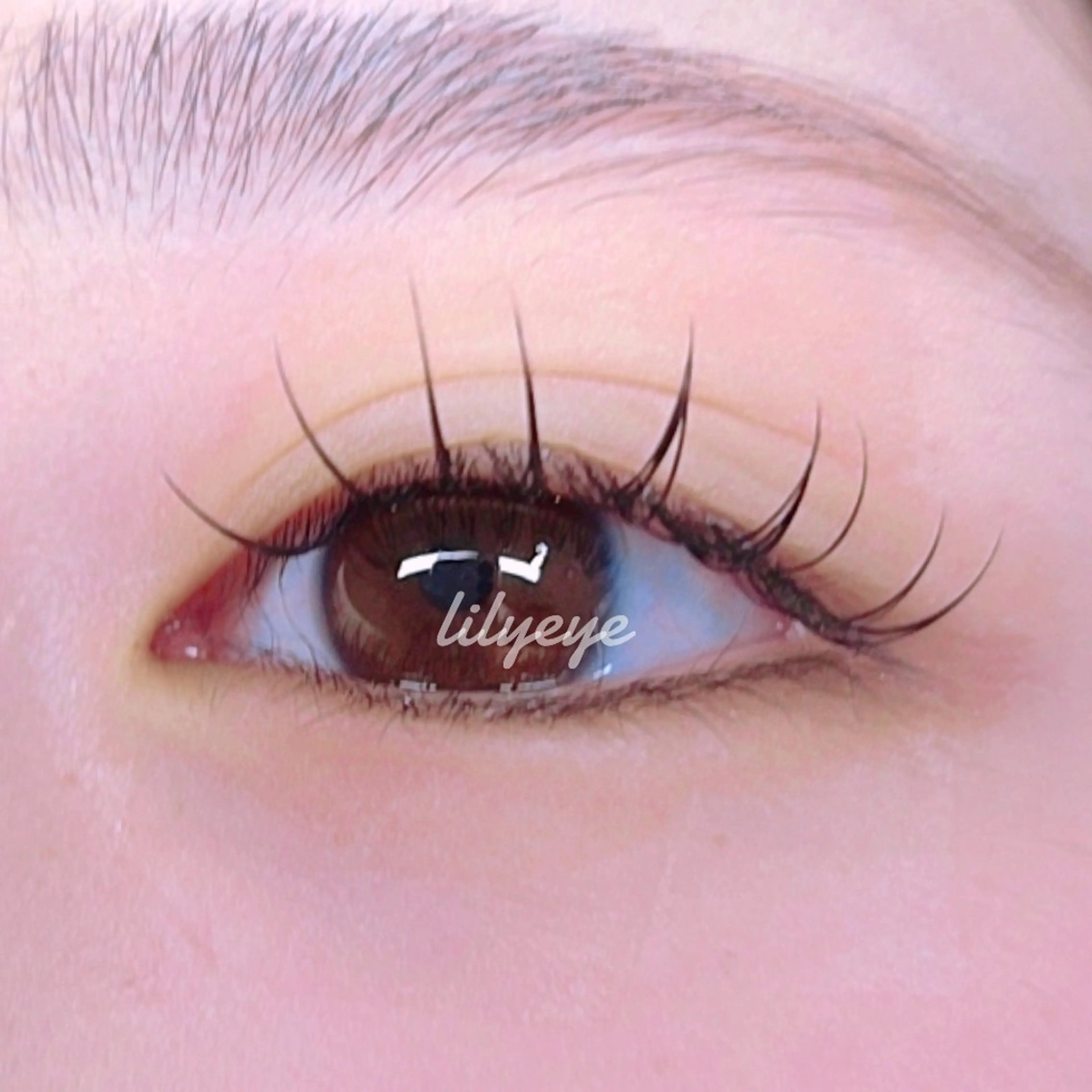 マツエク・マツパ Dカール フラットラッシュ まつげ屋さんリリィアイ所属・まつげ屋さん リリィアイのマツエク・マツパデザイン
