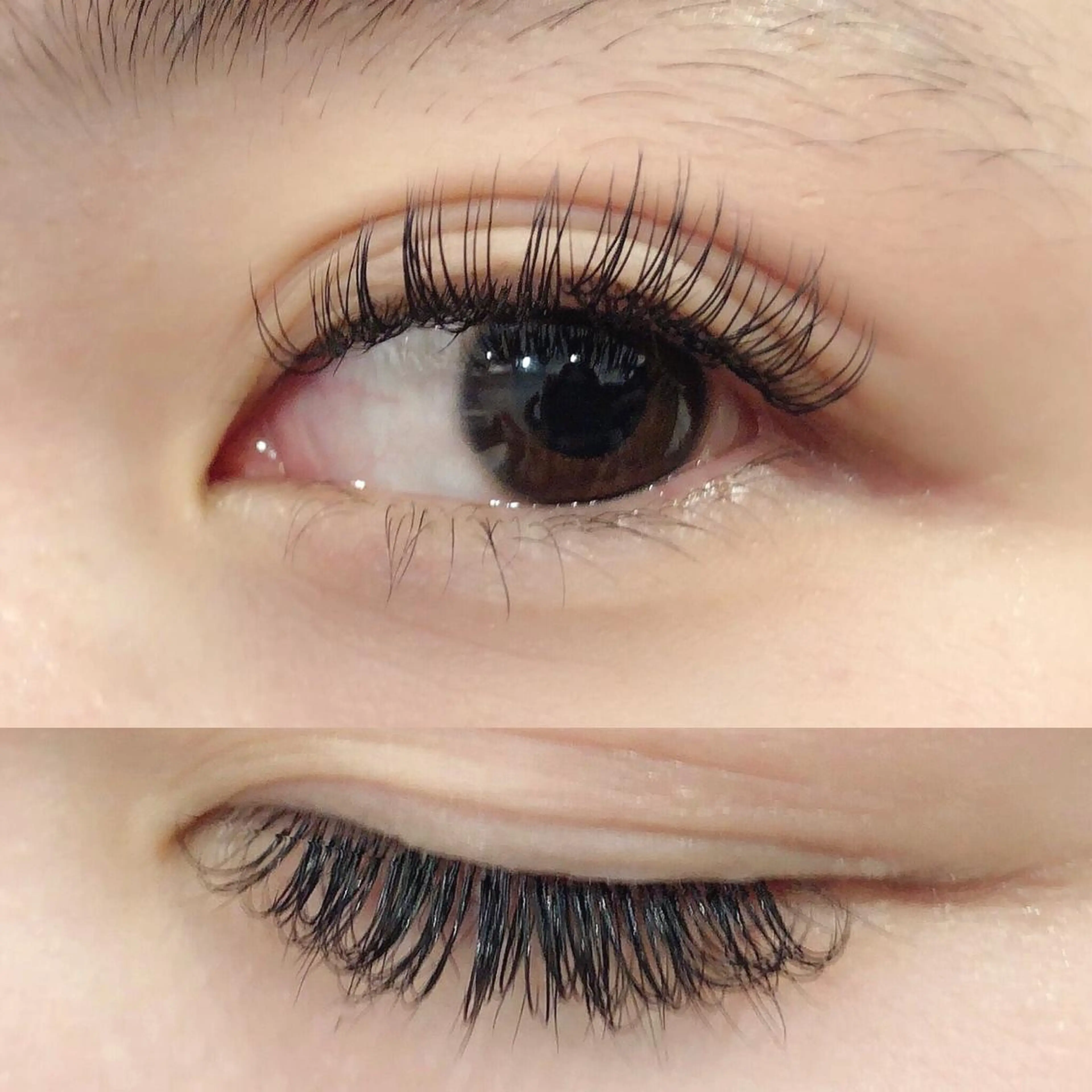 マツエク・マツパ マツエク ayano(歴9年) -Greenwoodのマツエク・マツパデザイン