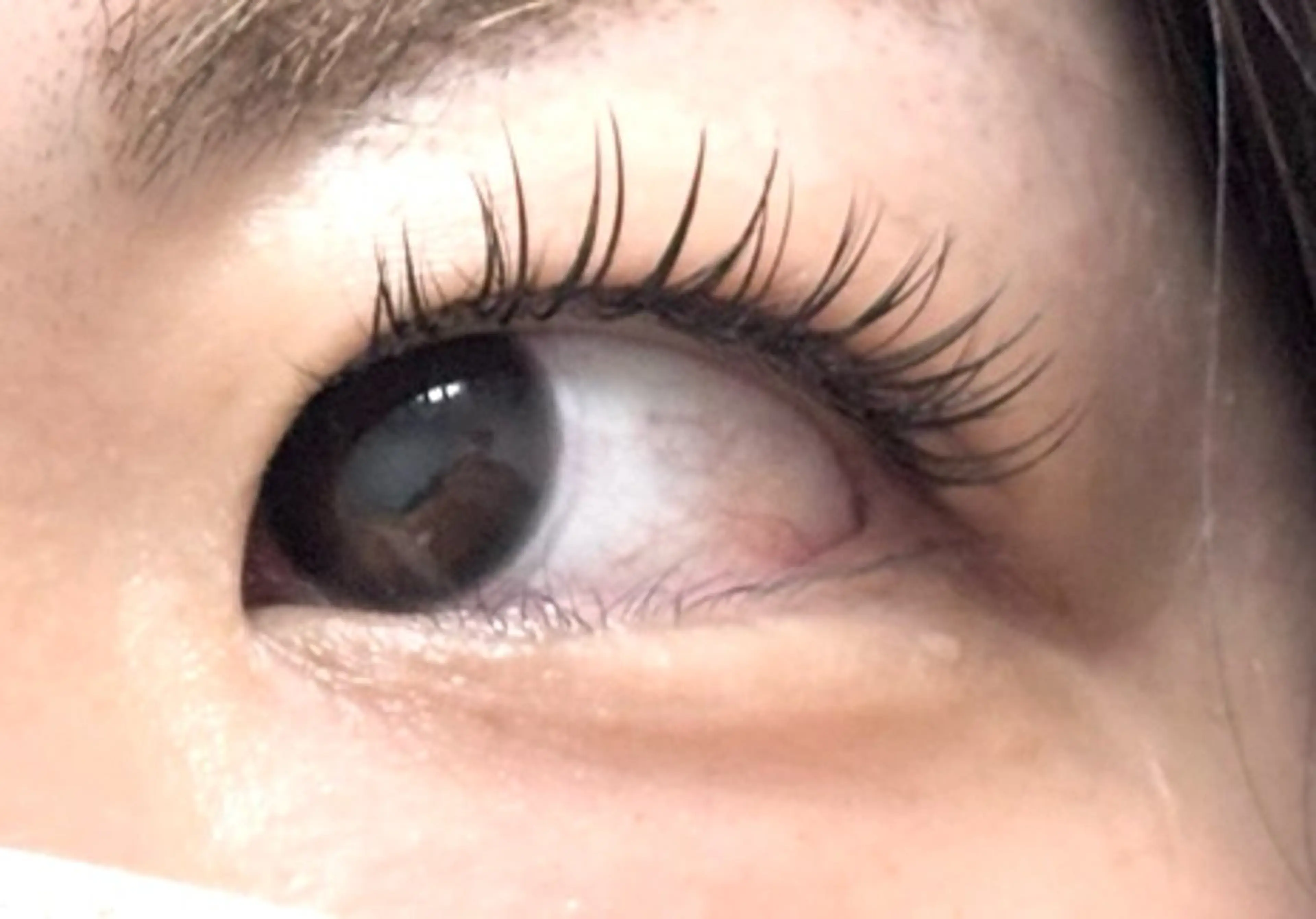 【口コミ不可】ボリュームラッシュ！300本！ 3D！3400円！の写真