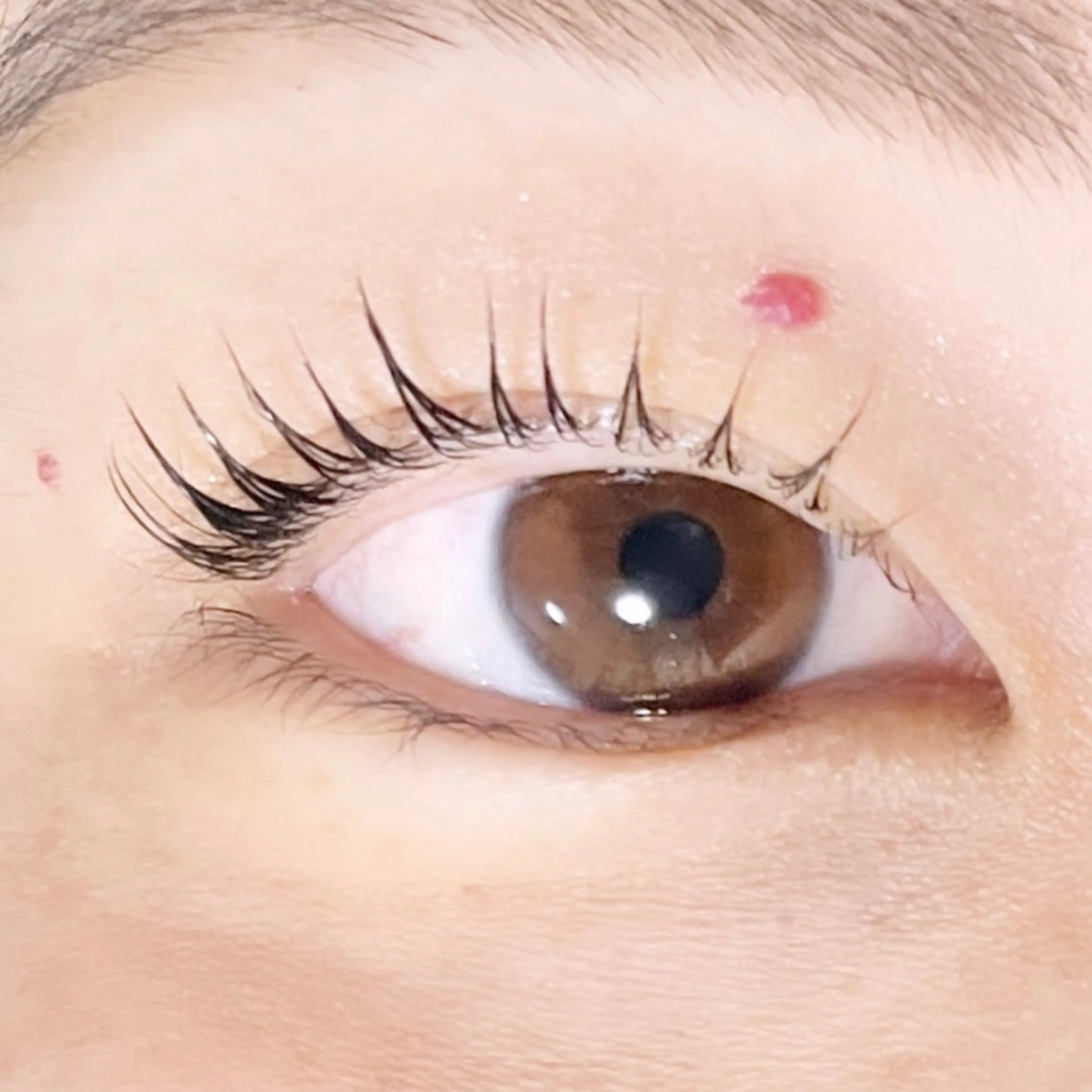 マツエク・マツパ TAKEO🖤 マリーテレジア藤が丘のマツエク・マツパデザイン