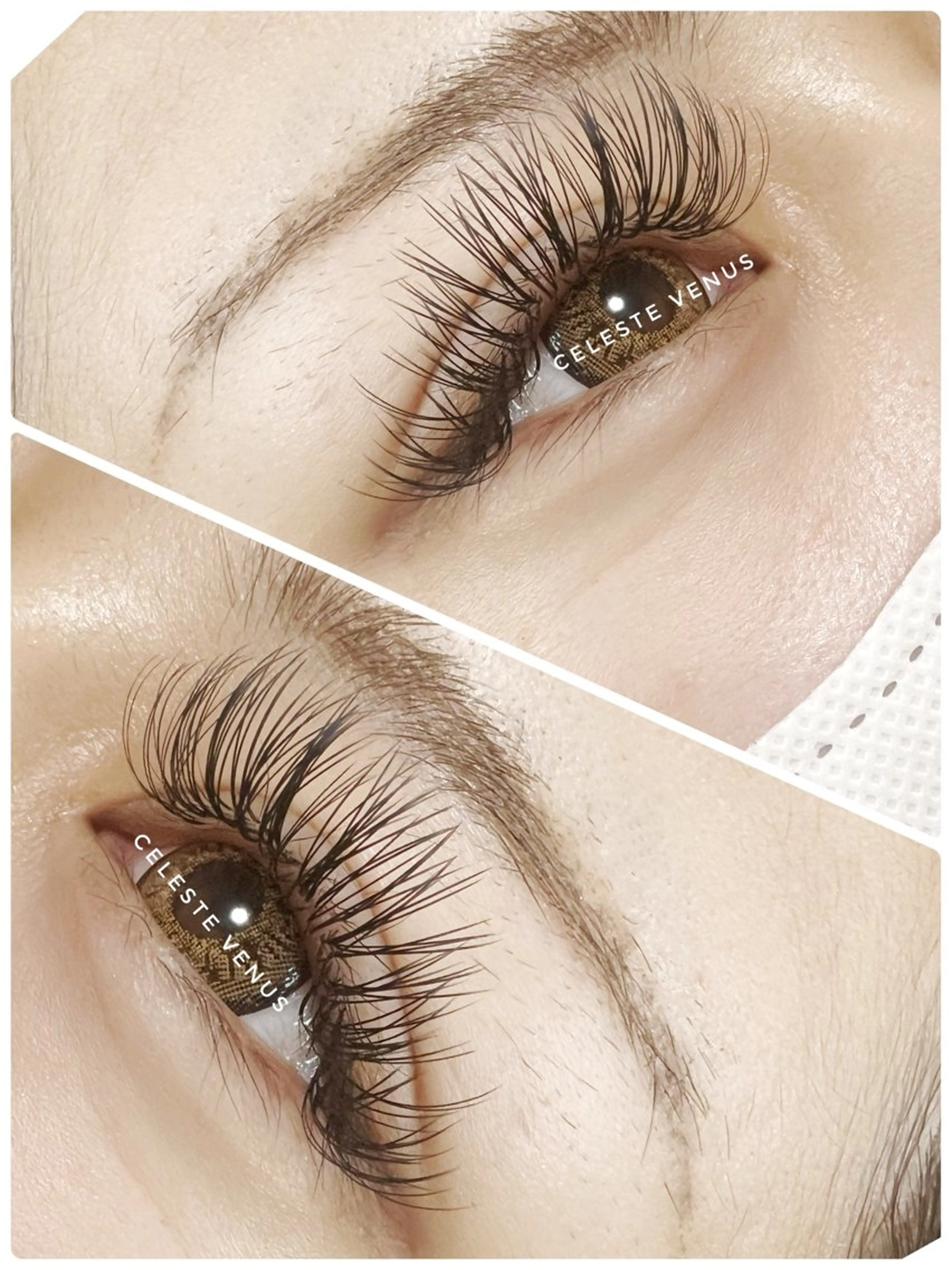 マツエク・マツパ Celeste Venus所属・🧸Celeste Venusのマツエク・マツパデザイン