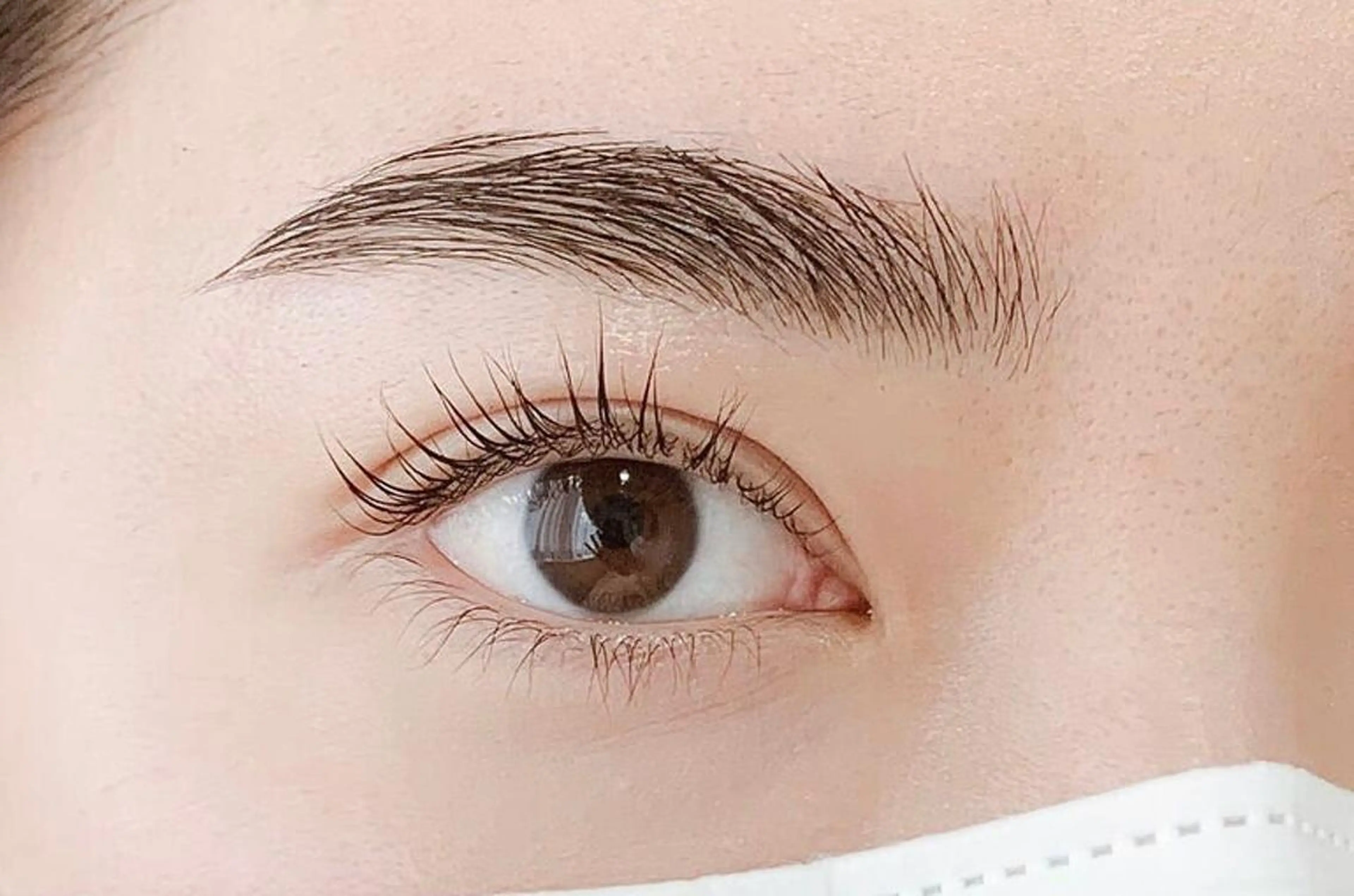 《上まつげラッシュリフト✖️アイブロウ眉毛WAX》ボサボサ眉毛も骨格&顔パーツ分析で垢抜ける✨人気No. 1メニュー✨の写真