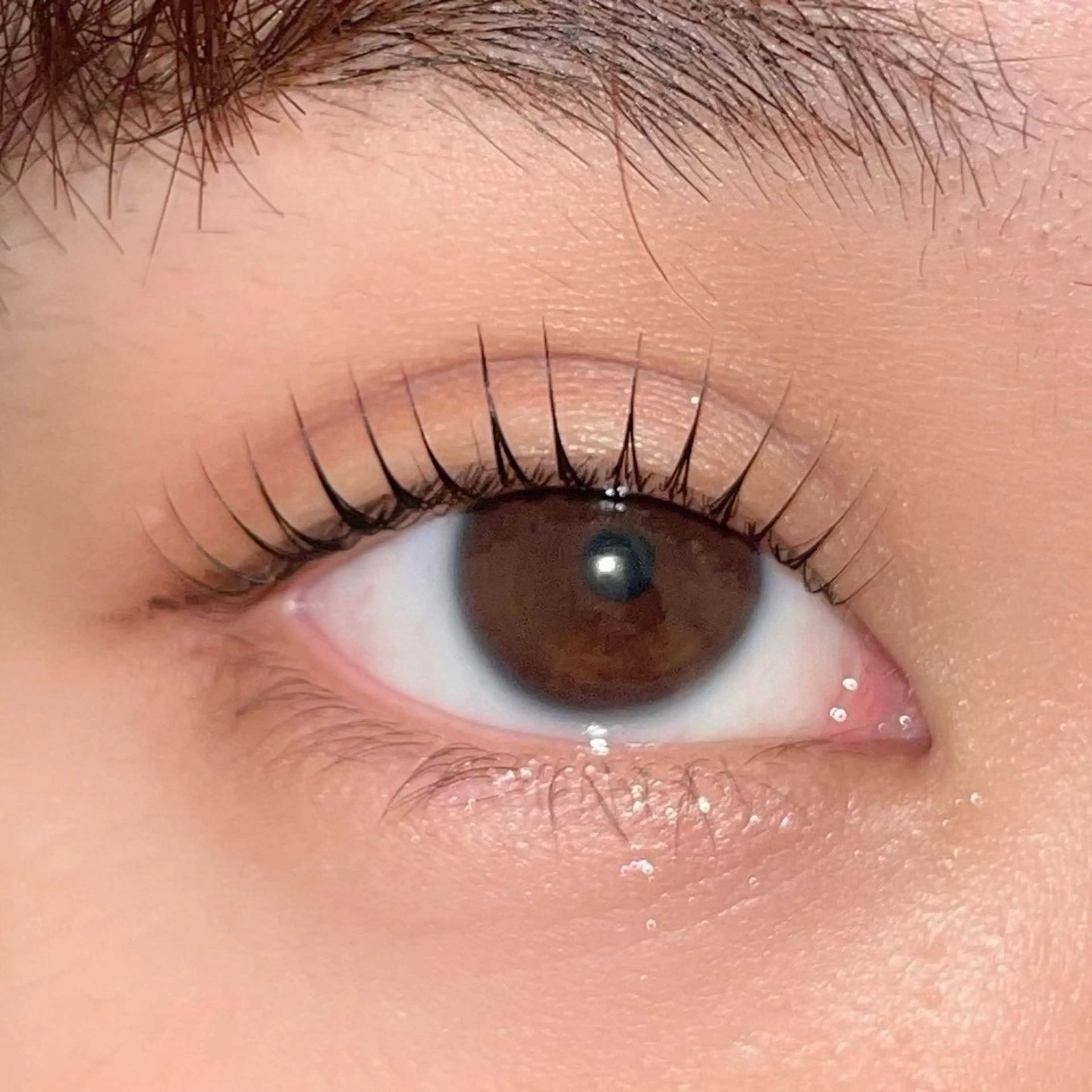 マツエク・マツパ 表参道/まつ毛パーマ 🌷🕊️SAORIのマツエク・マツパデザイン