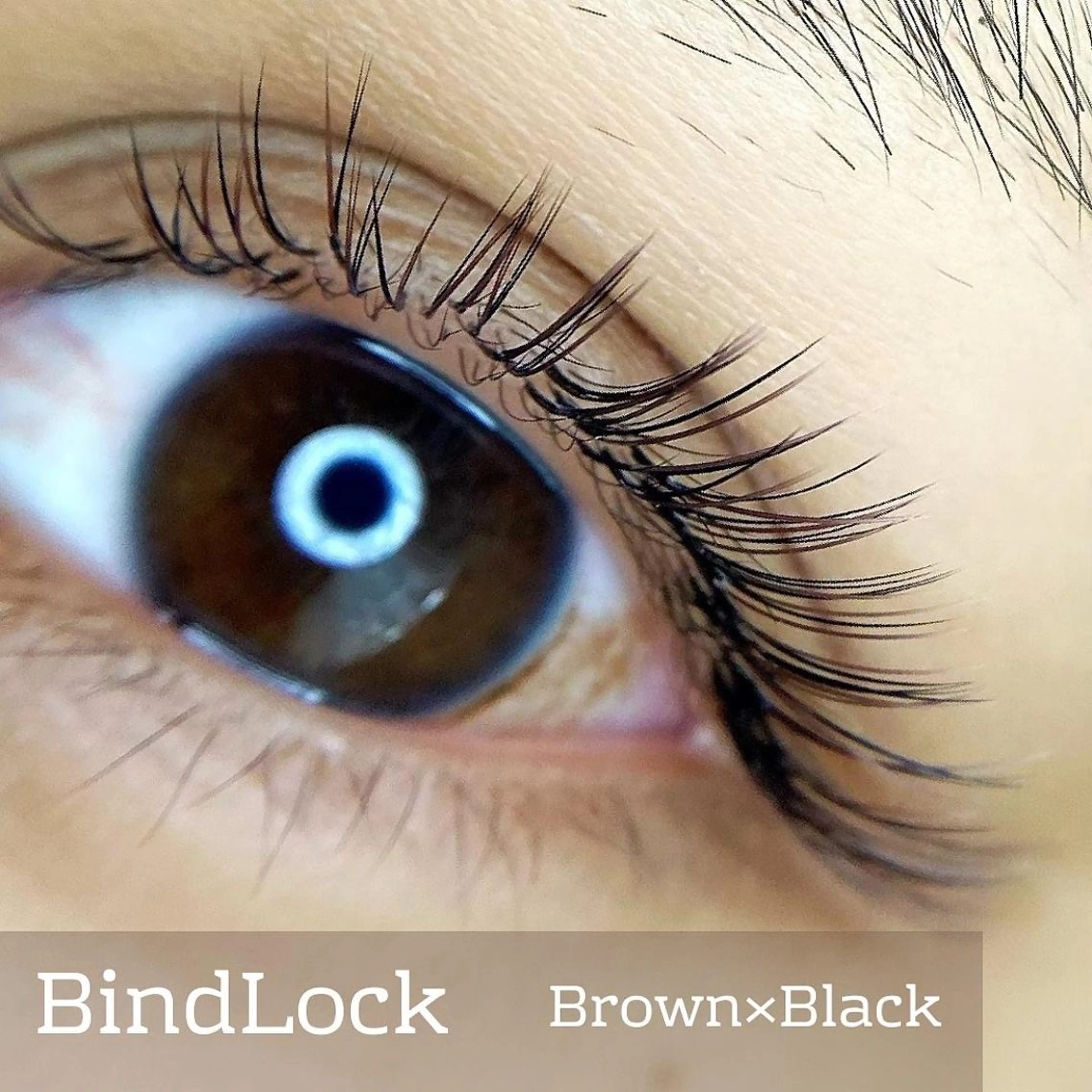 マツエク・マツパ arton Eyelash所属・Arton Eyelashのエステ・リラクイメージ