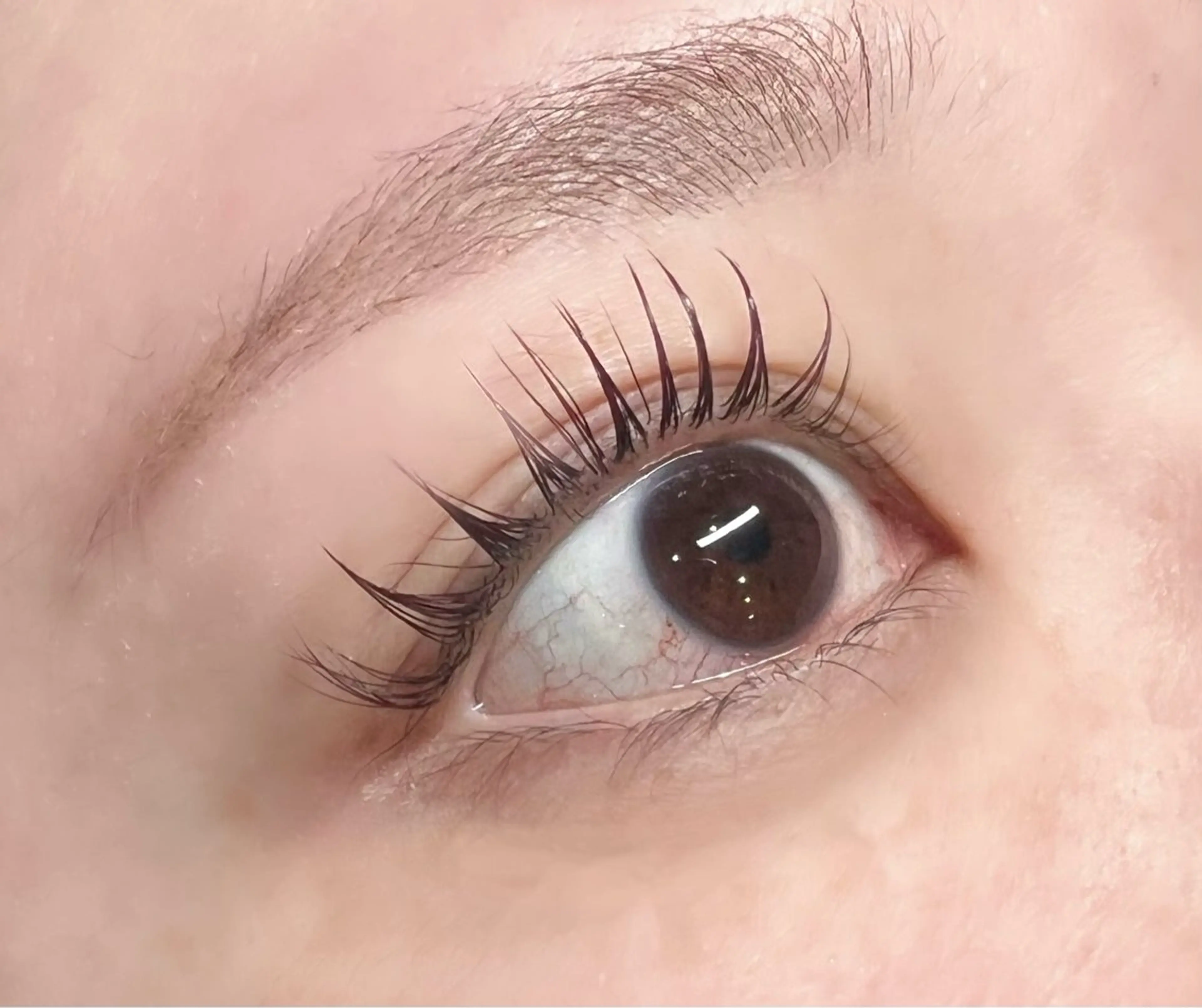 マツエク・マツパ 付け放題 フラットラッシュ まつげパーマ ボリュームラッシュ マツエク M. eyelsh salonのマツエク・マツパデザイン