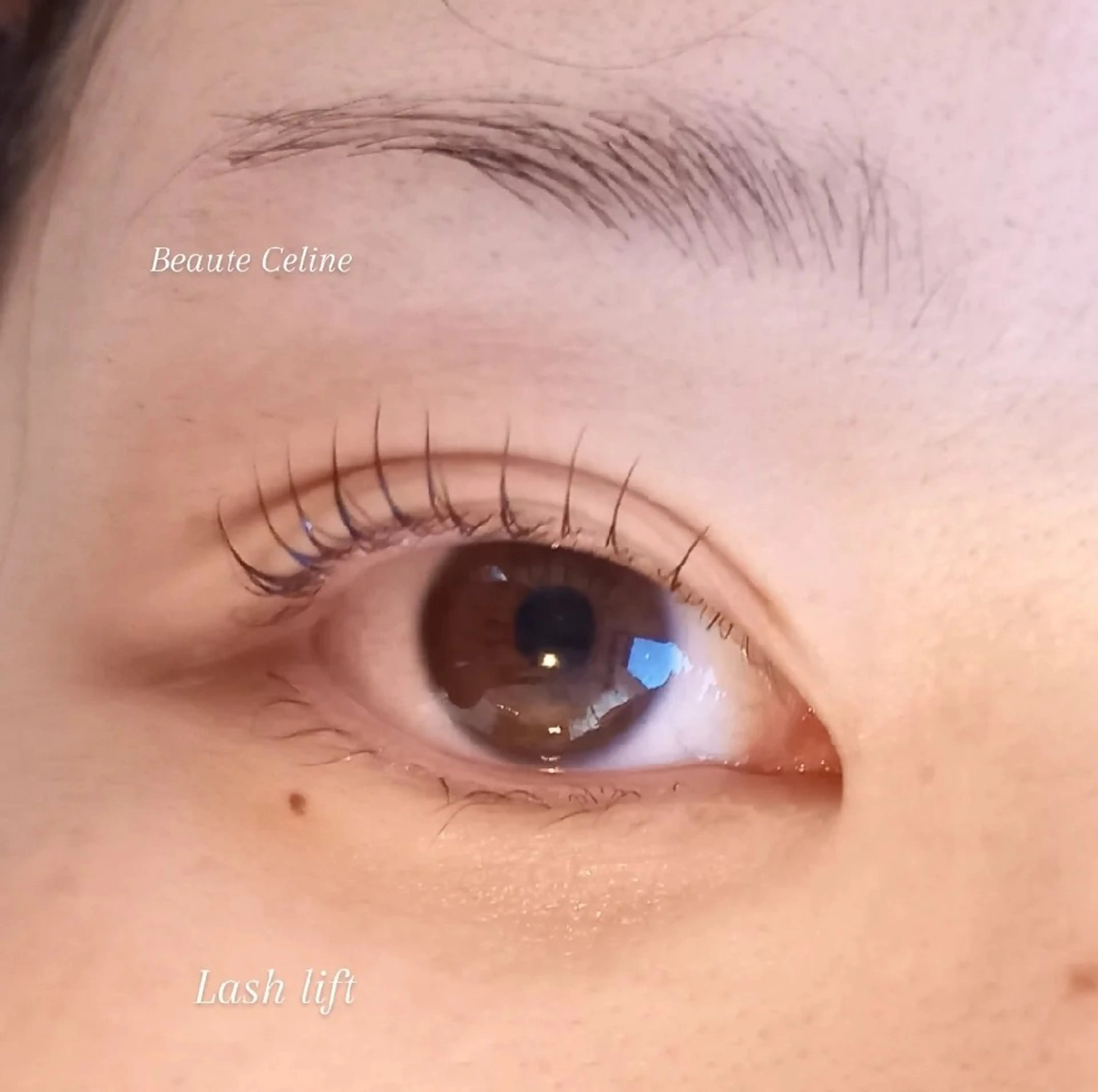 マツエク・マツパ マツパ beaute.celine所属・ぱっちりパーマ🤎 ボーテCelineのマツエク・マツパデザイン