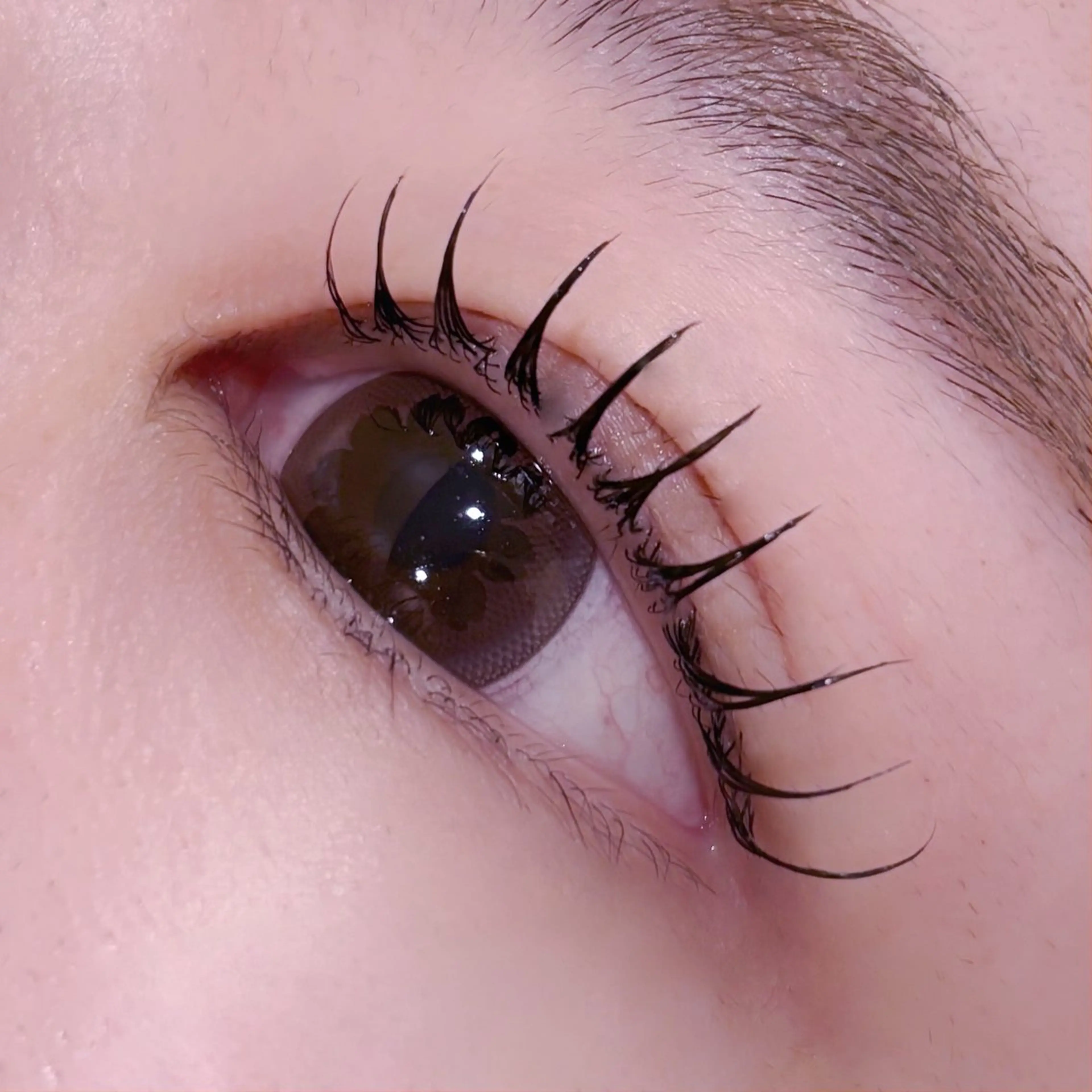 マツエク・マツパ マツパ pono大宮東口店 店長🩰AOHA🩰のマツエク・マツパデザイン