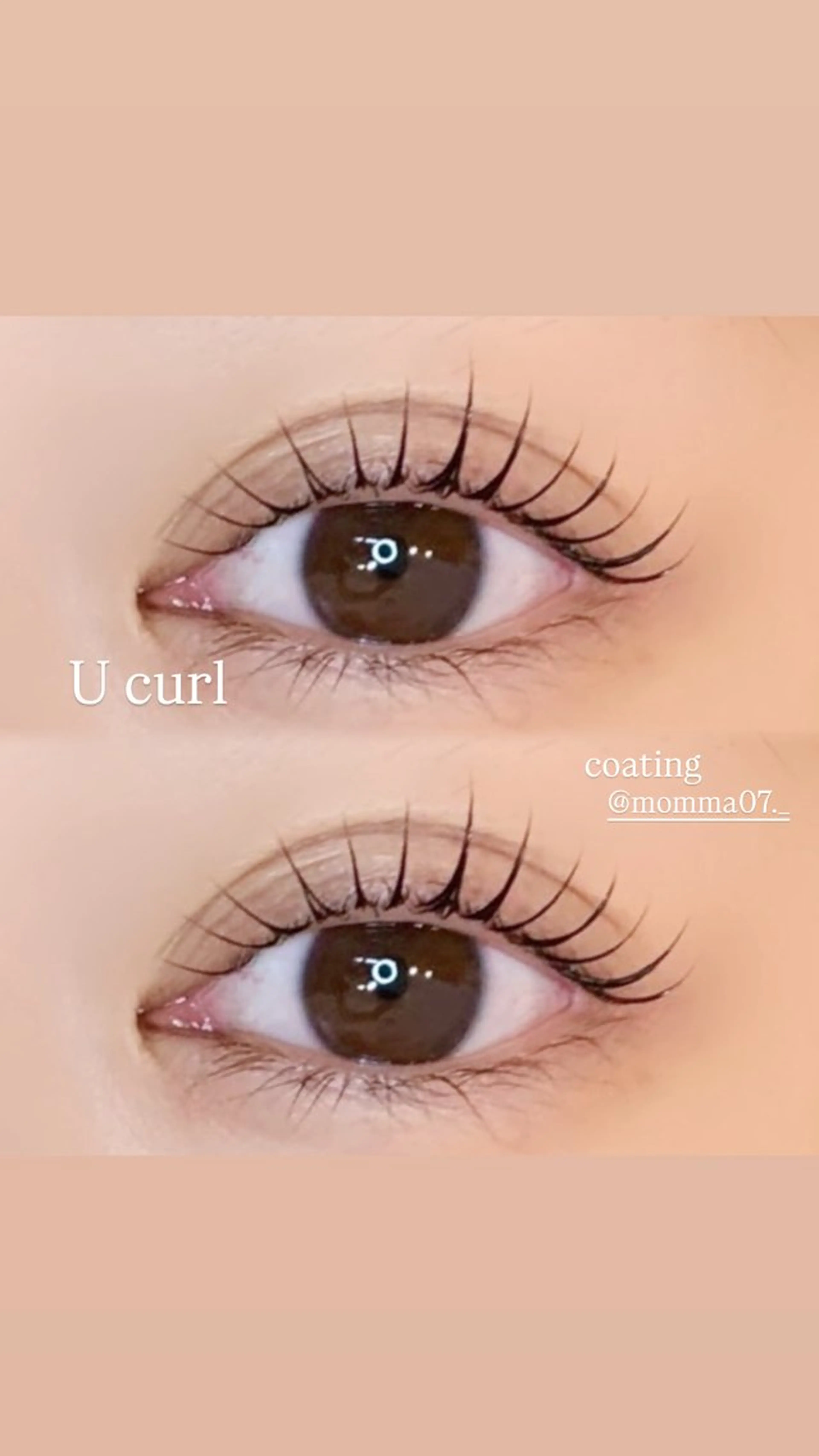 【11月28.29限定】まつ毛パーマ＋アイシャンプー・トリートメント・コーティング付きのスペシャルメニュー✨️の写真