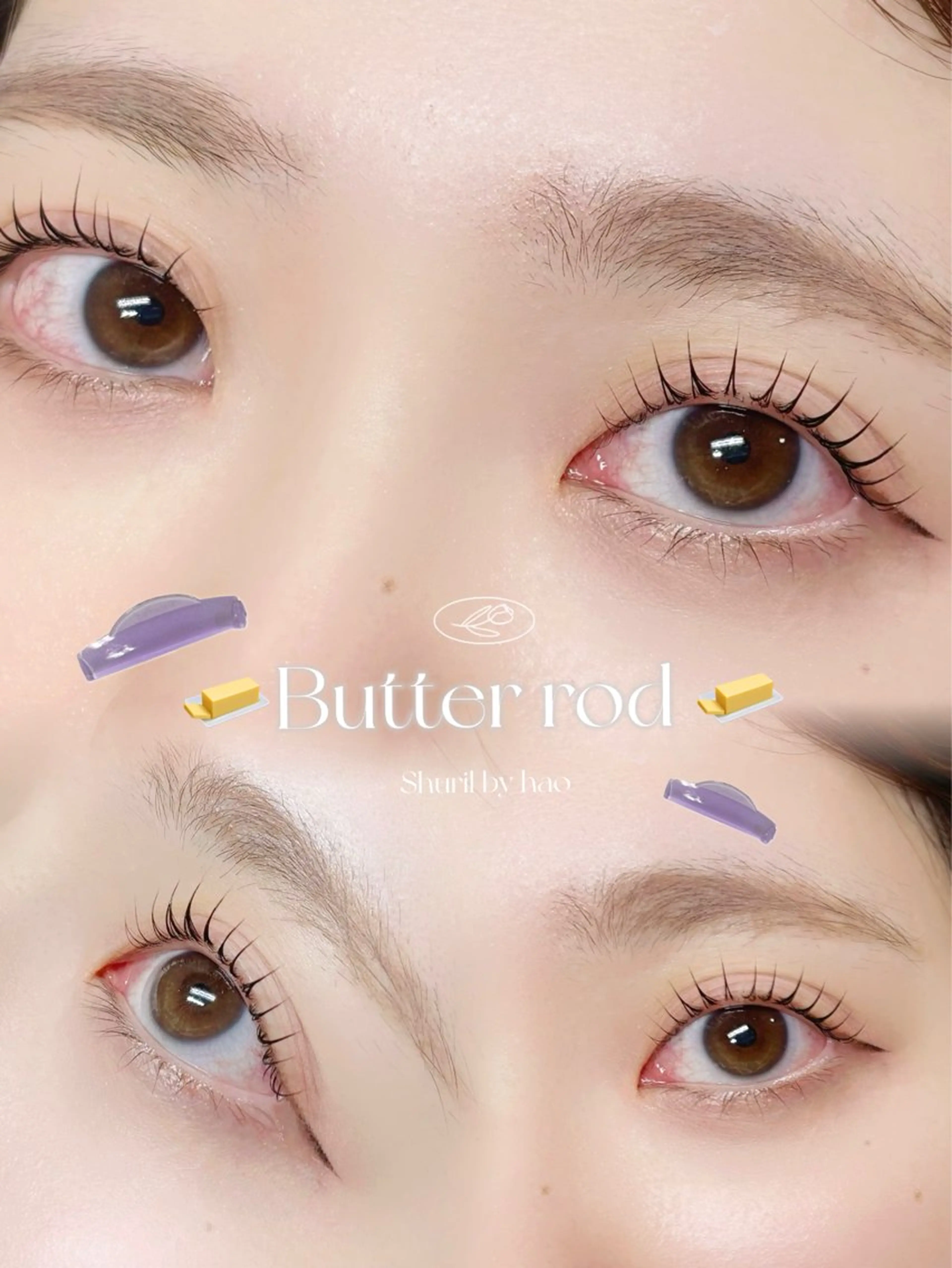 ãããšã¯ã»ããã ããã ððªðŠðð éåœé¢š/ææ/æµæ¯å¯¿ã®ãããšã¯ã»ããããã¶ã€ã³