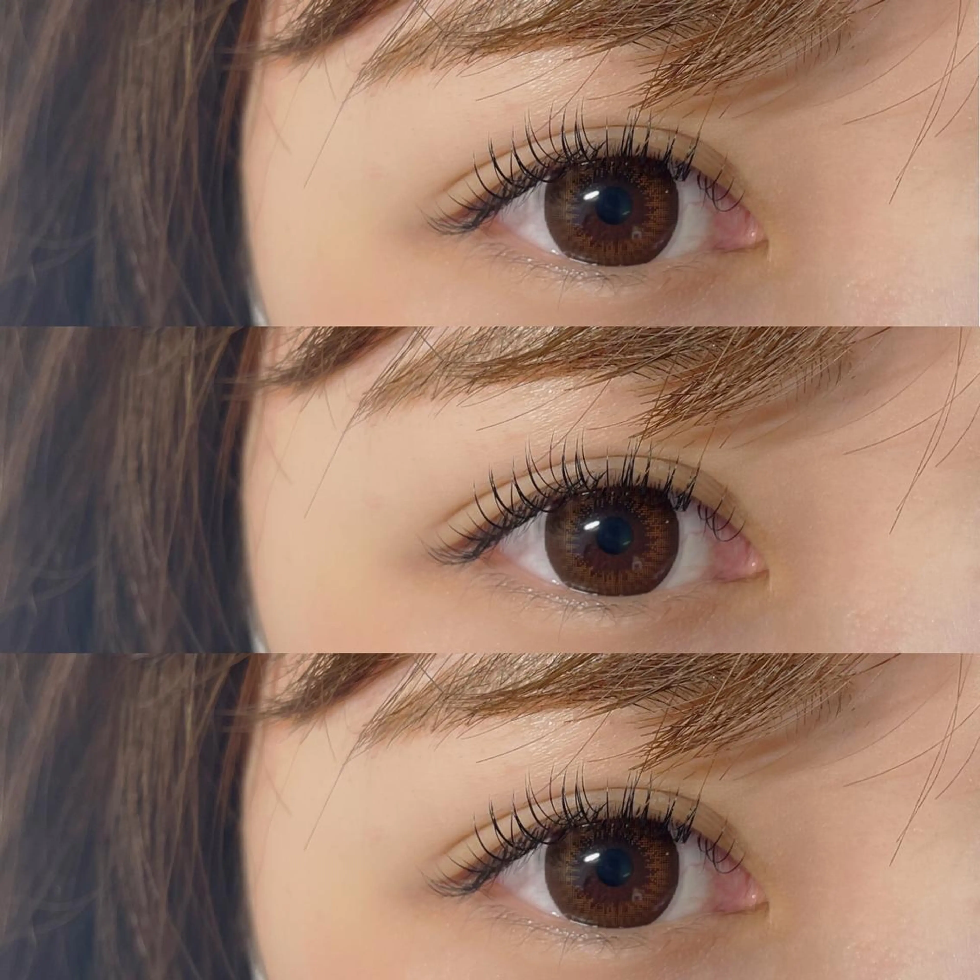 当店オフ込み🪴フラットラッシュ120本の写真