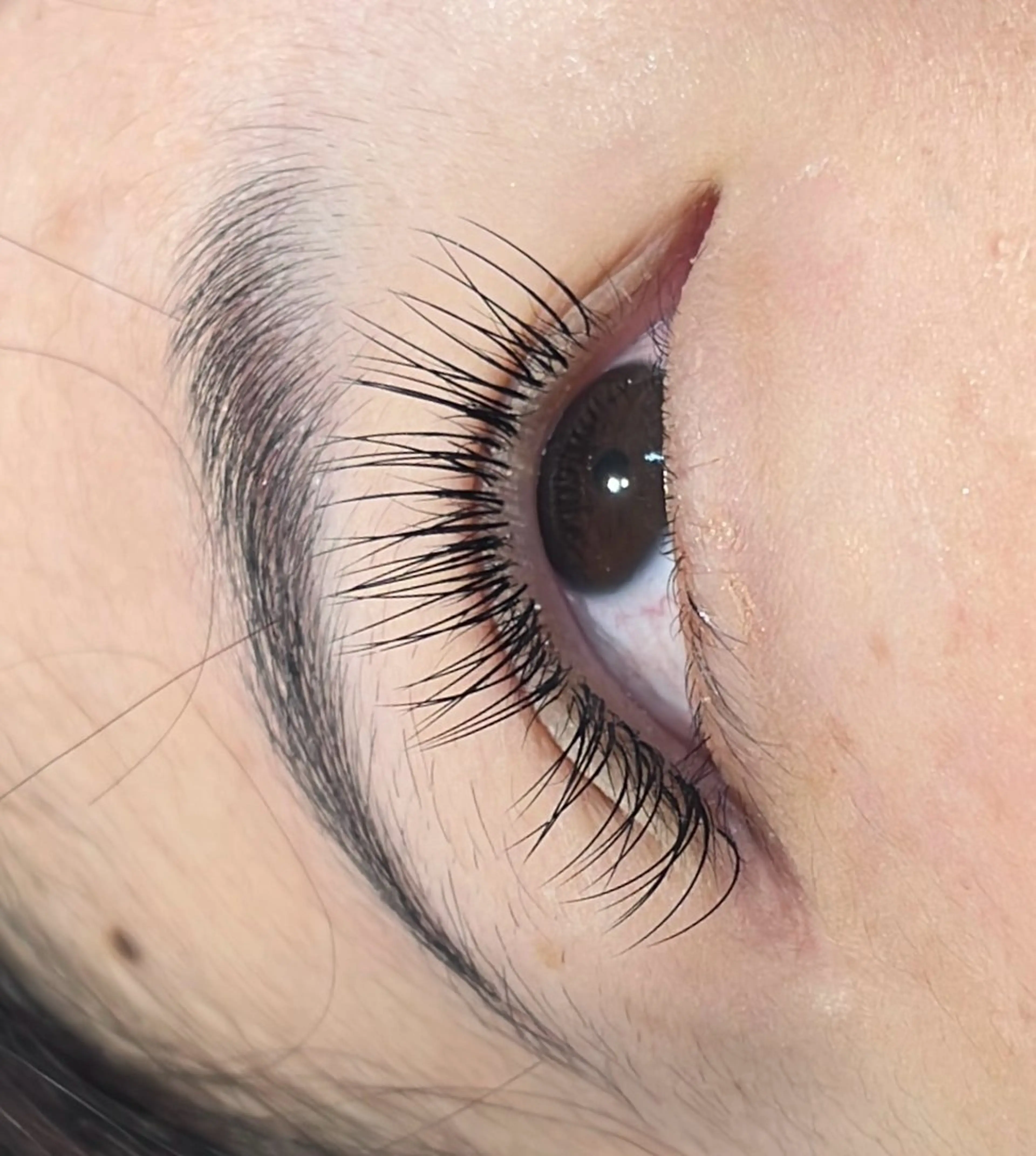 マツエク・マツパ シルク MAQUIA蒲田店 横山のマツエク・マツパデザイン