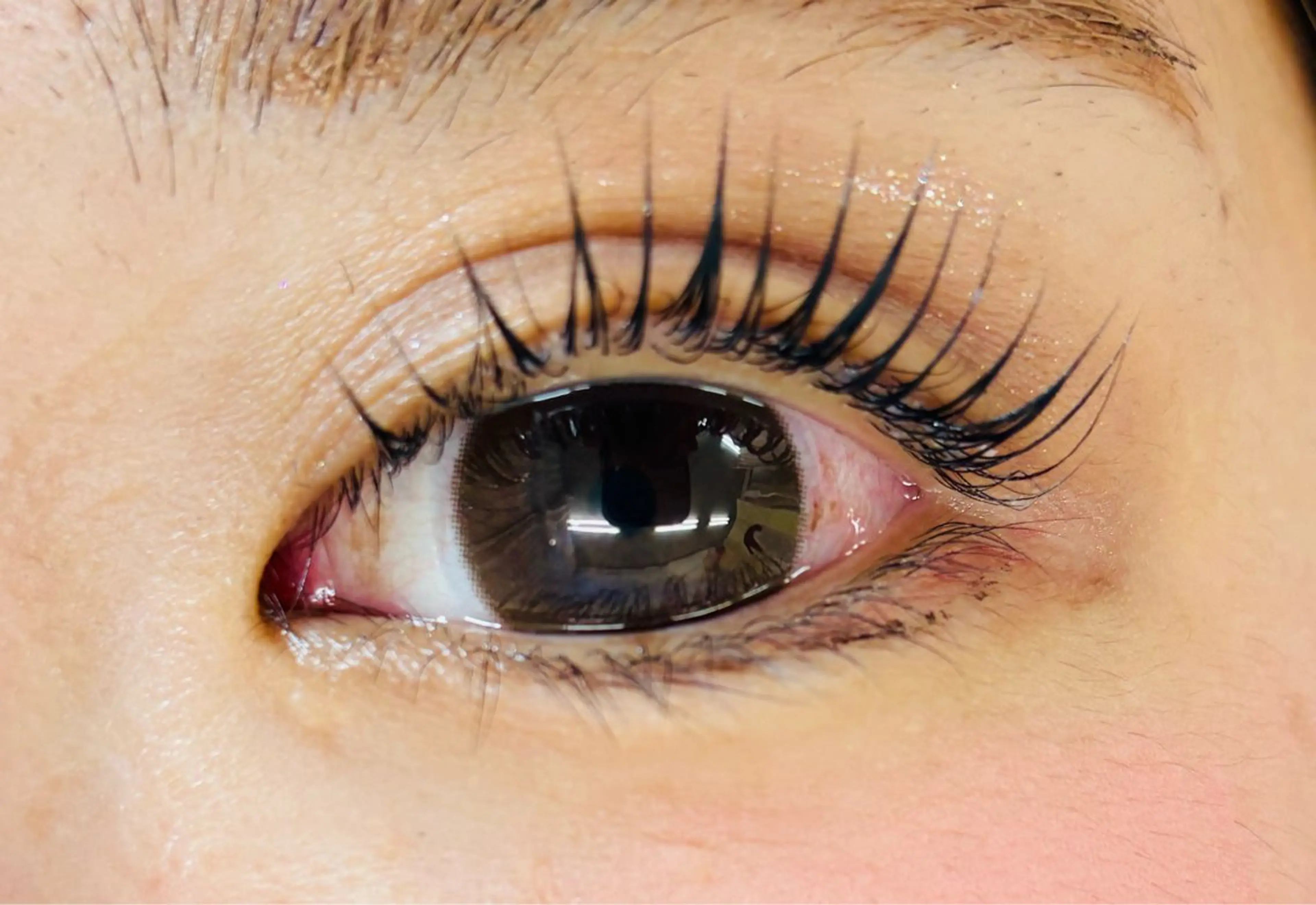 パリジェンヌラッシュリフトの写真