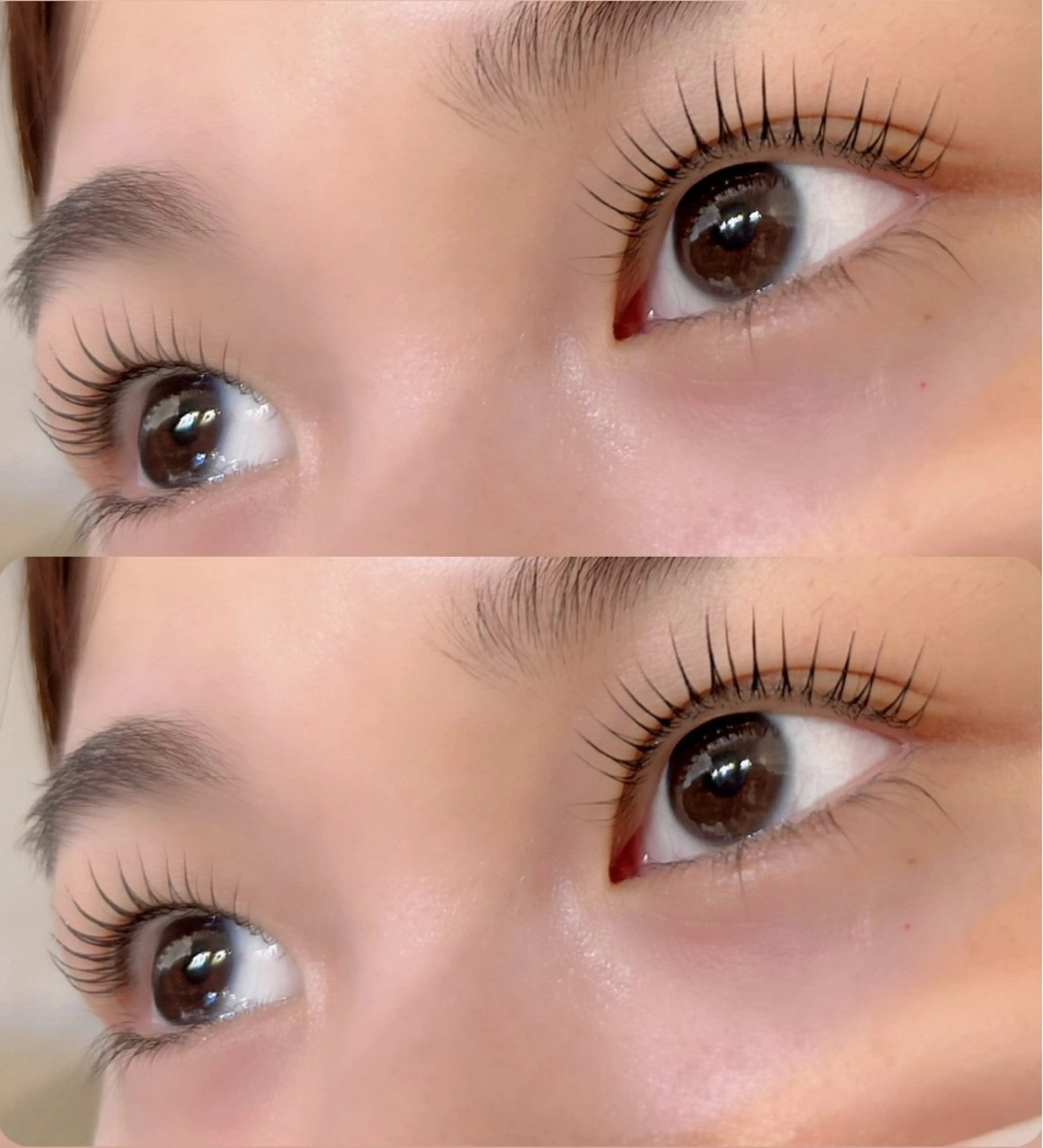 マスカラパーマ➕アイシャンプー(ティントコーティング仕上げ🪄︎︎)の写真