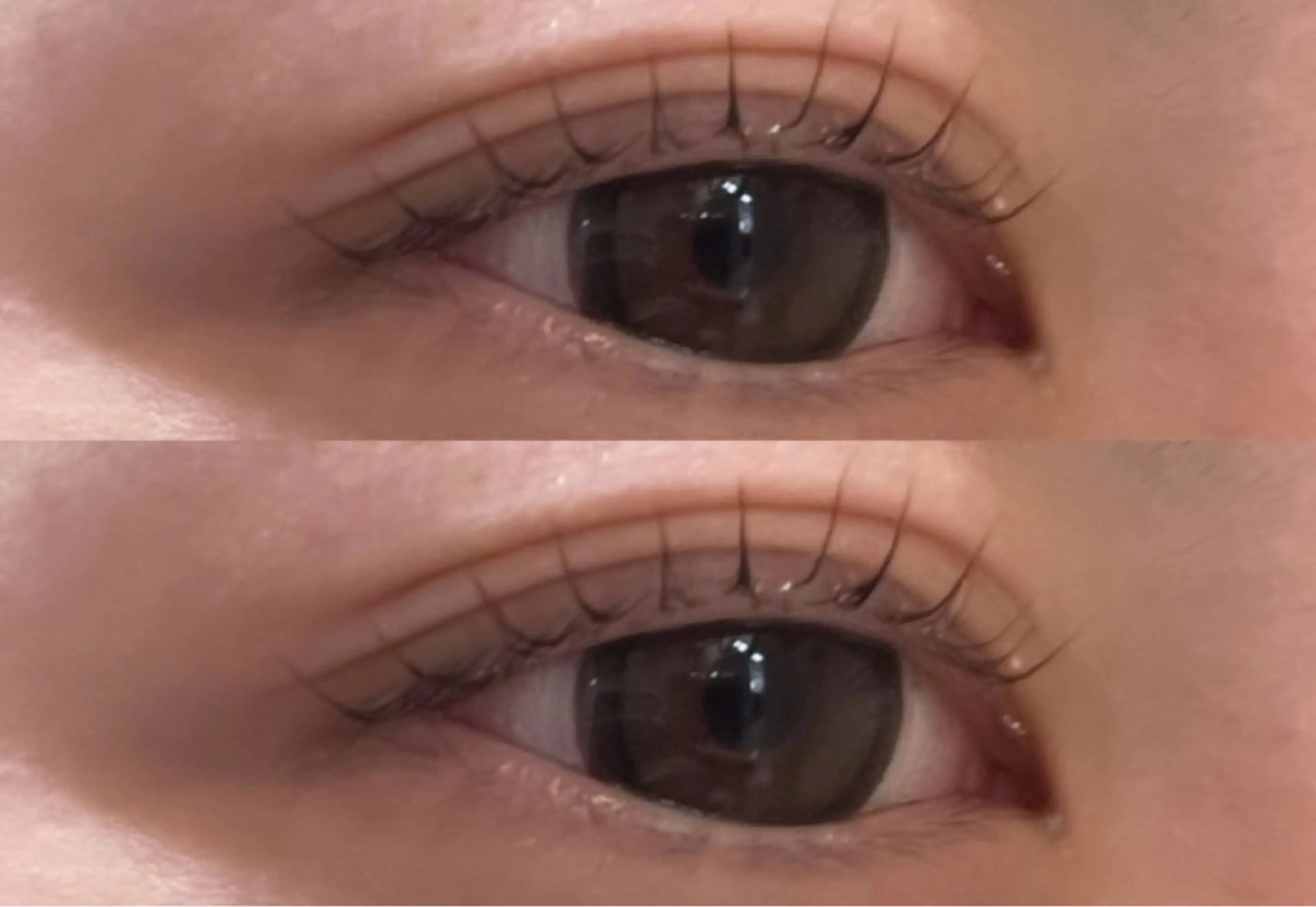 マツエク・マツパ パリジェンヌラッシュリフト eve🐰束間まつ毛 /透明感カラーのヘアスタイル