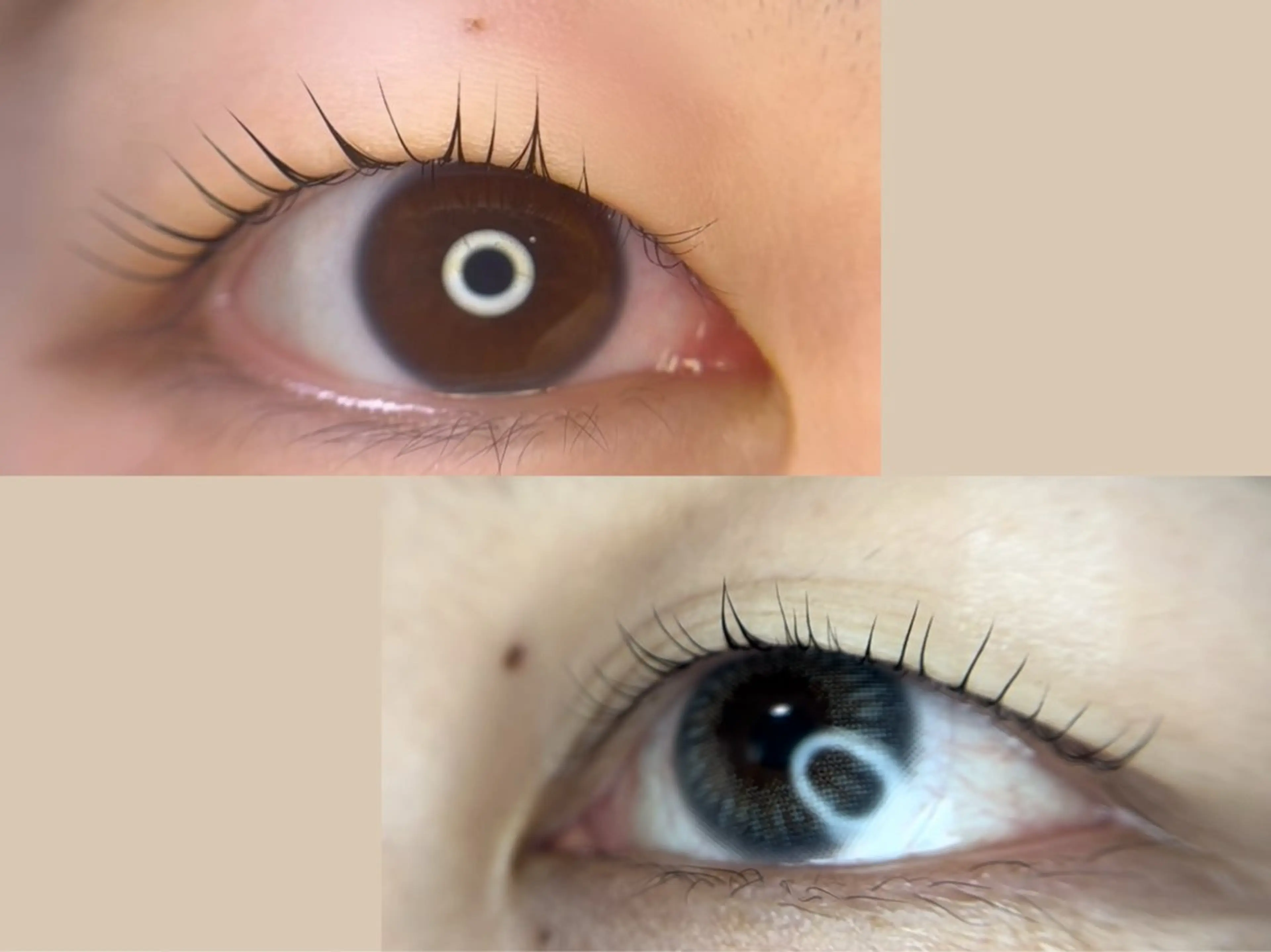 マツエク・マツパ 似合わせ眉毛専門Sarule所属・似合わせ眉毛専門 Saruleの眉毛・アイブロウイメージ