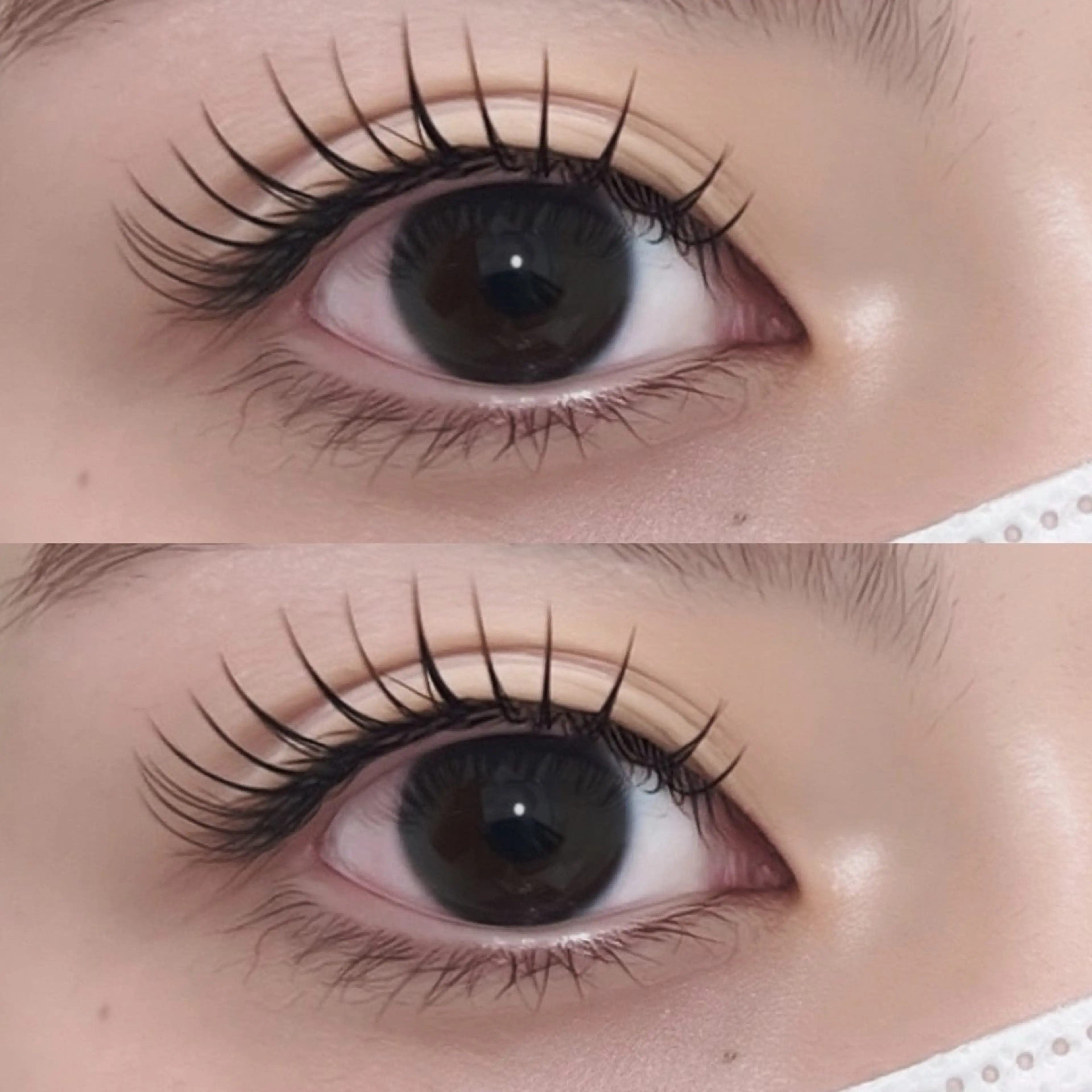 【新規🍓フラットマットラッシュ120本🍓/オフ無料/コーティング仕上げ】の写真