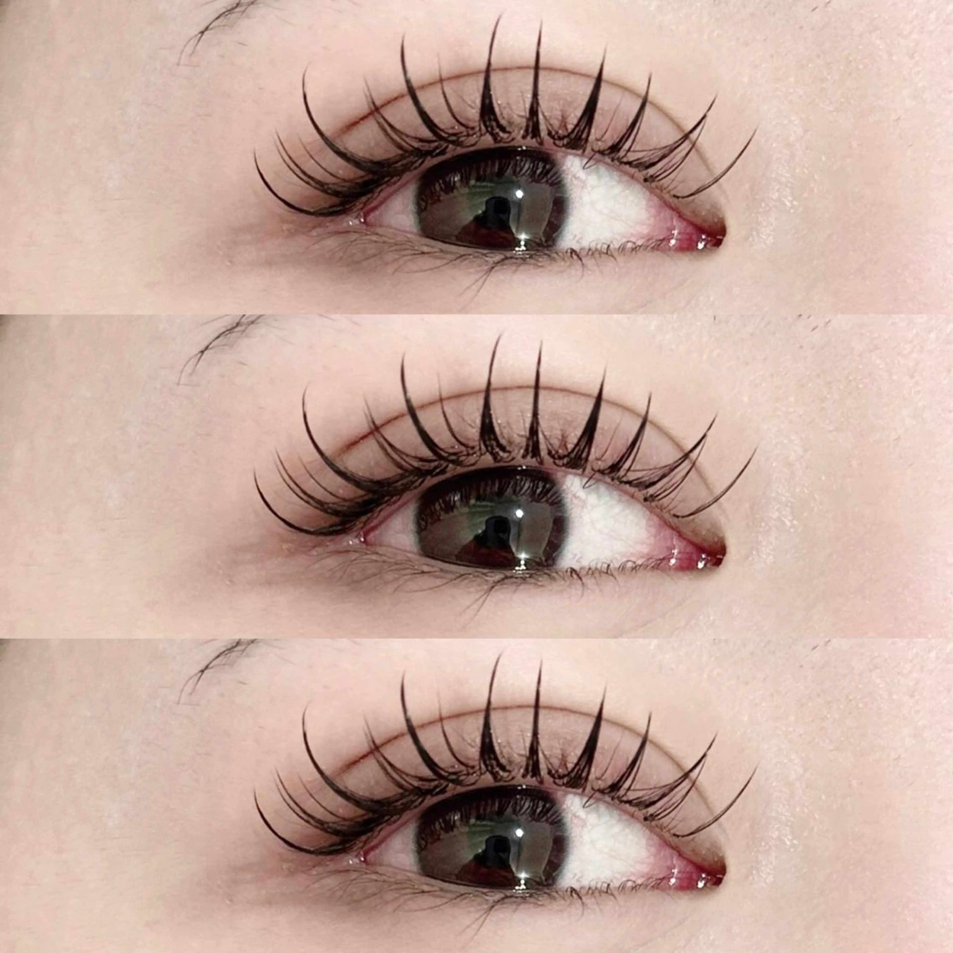 【軽さ密度NO.1】ボリュームラッシュつけ放題🕊の写真