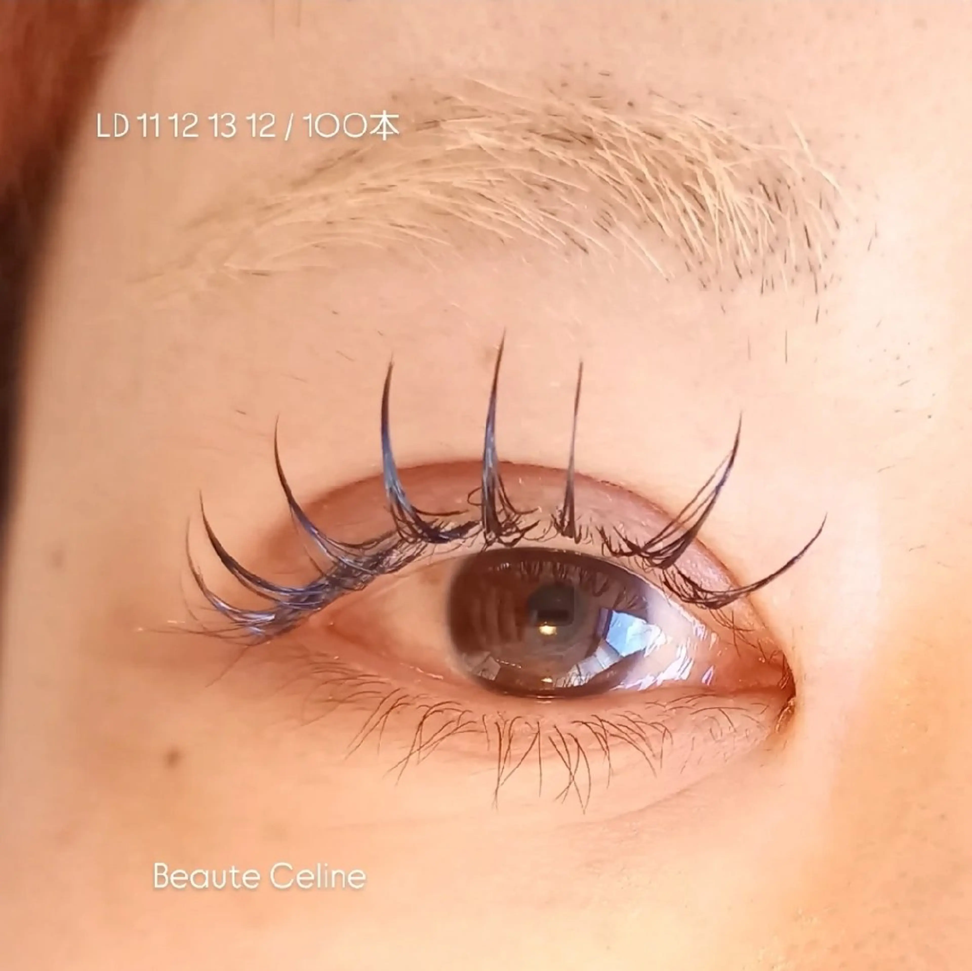 マツエク・マツパ マツエク beaute.celine所属・ぱっちりパーマ🤎 ﾎﾞｰﾃCelineのマツエク・マツパデザイン