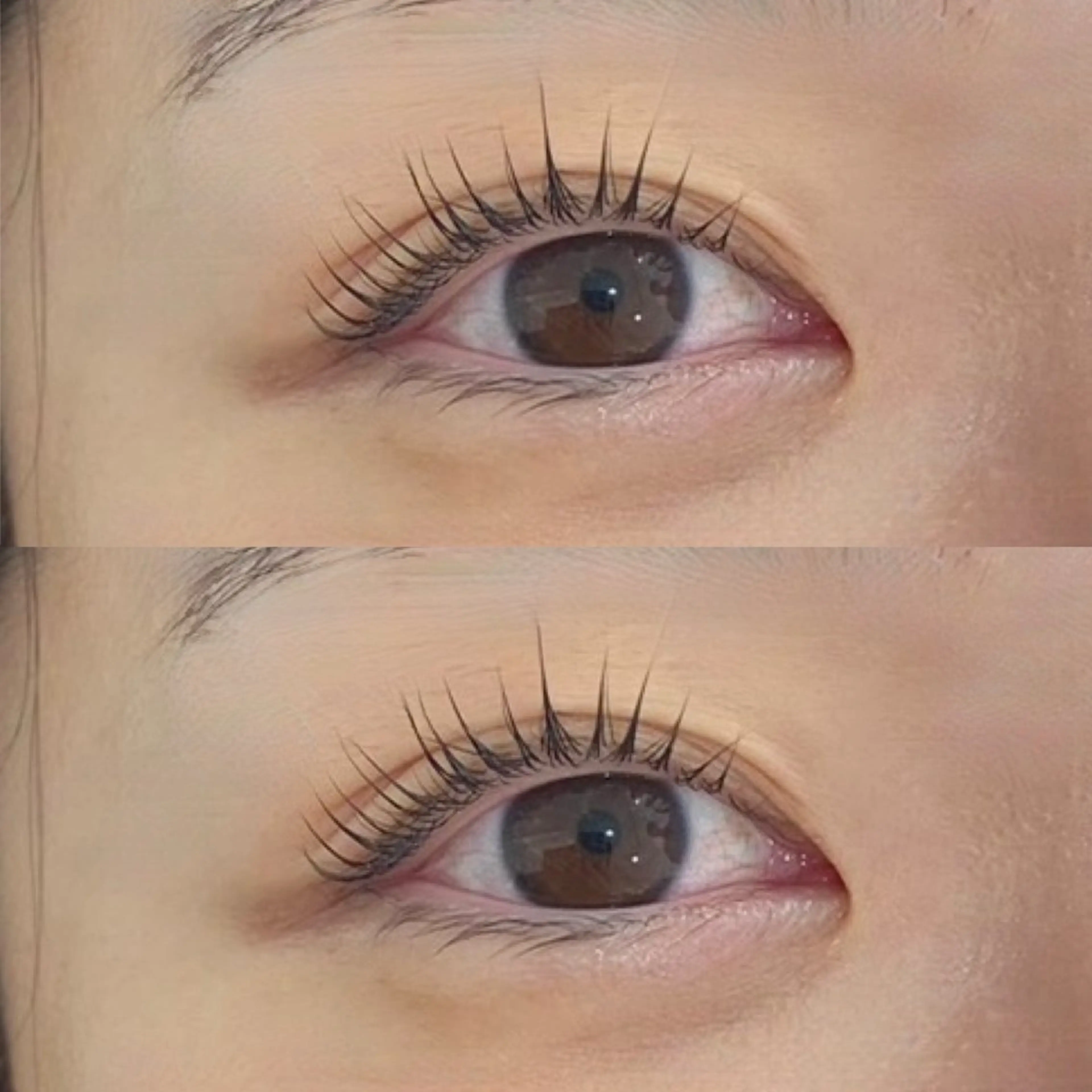 【年末大感謝】パリジェンヌ＋アイシャンプー＋ラッシュアディクトの写真