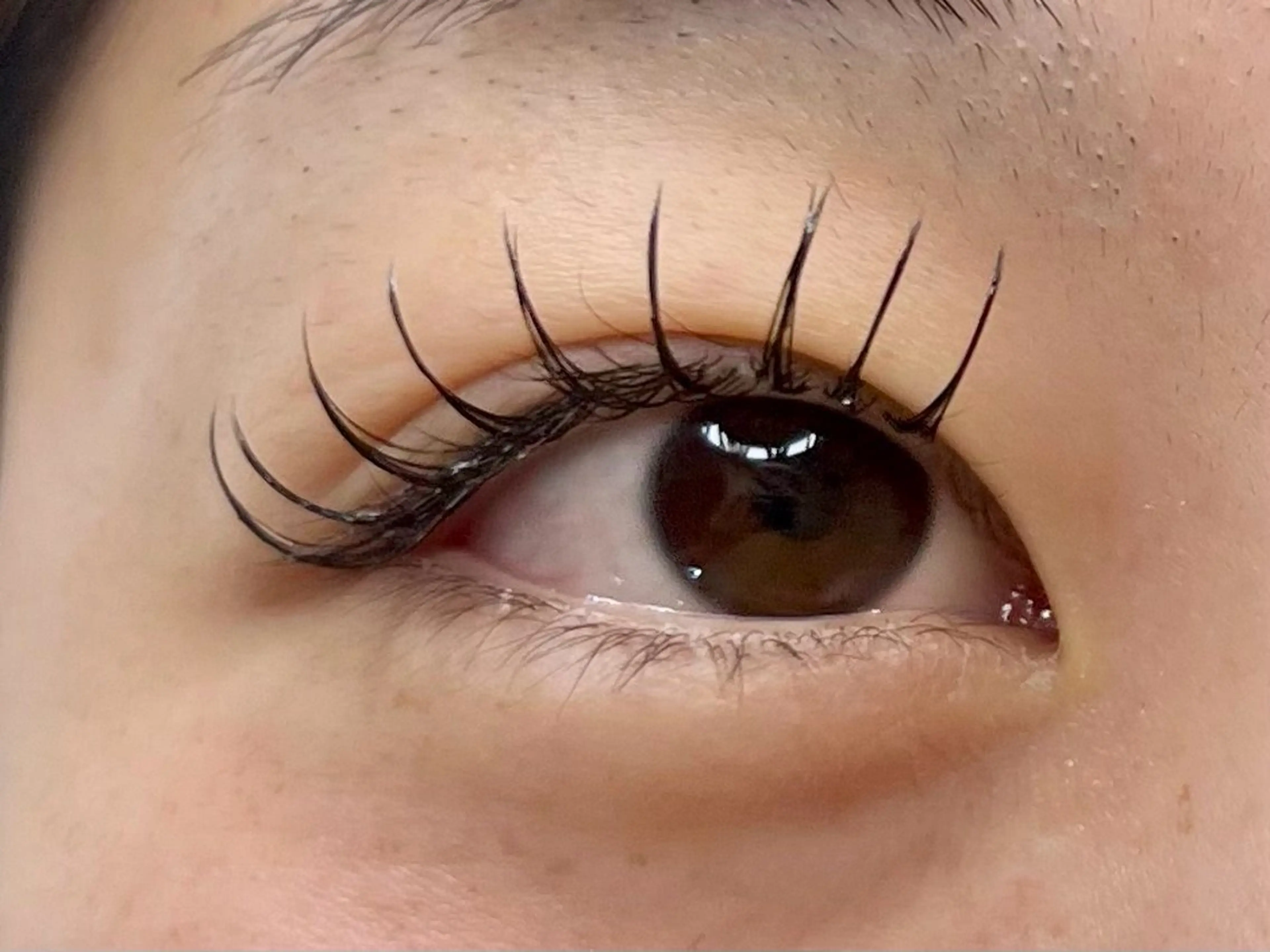 マツエク・マツパ マツエク STELLA ステラのマツエク・マツパデザイン