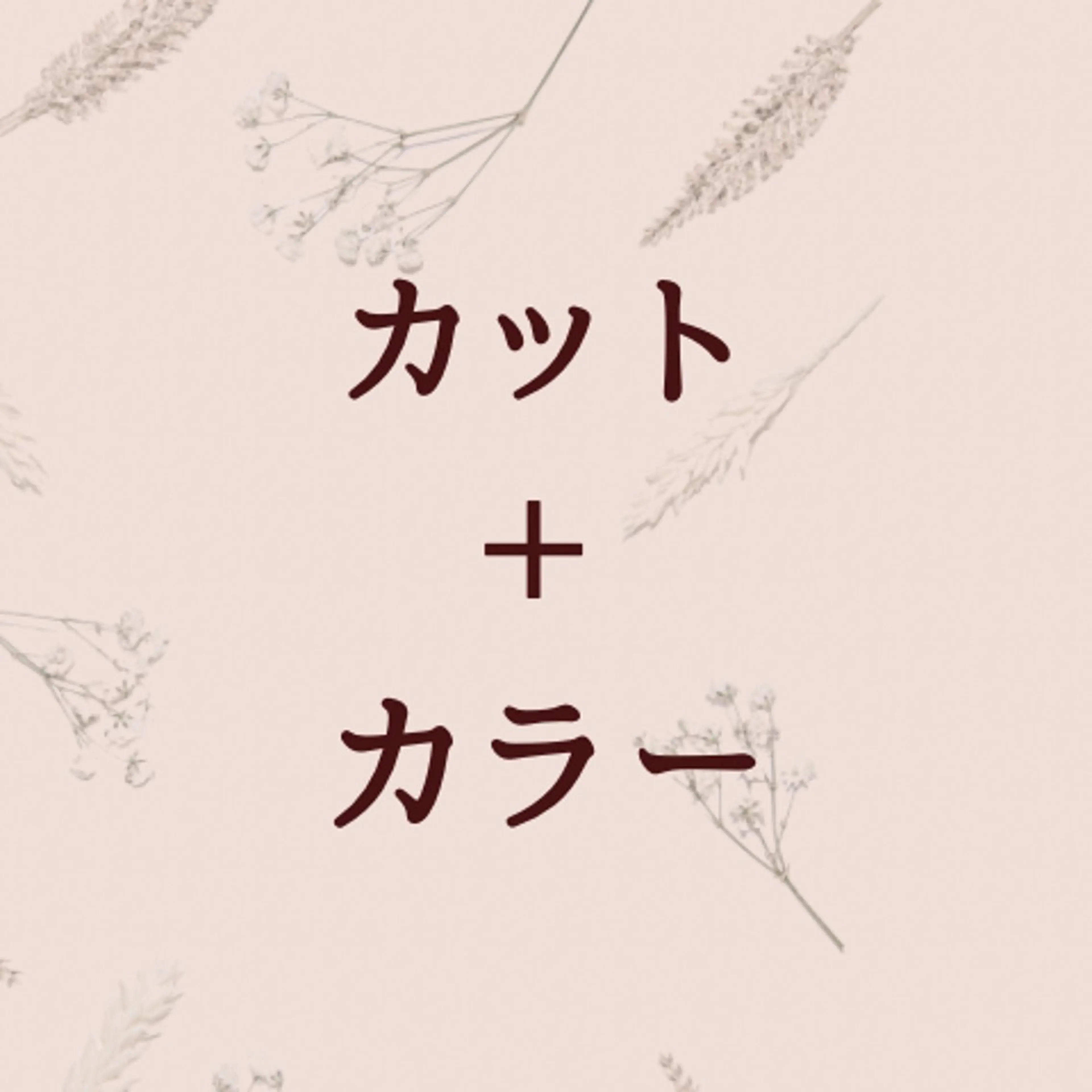 【平日限定】透明感カラー＋似合わせカットの写真