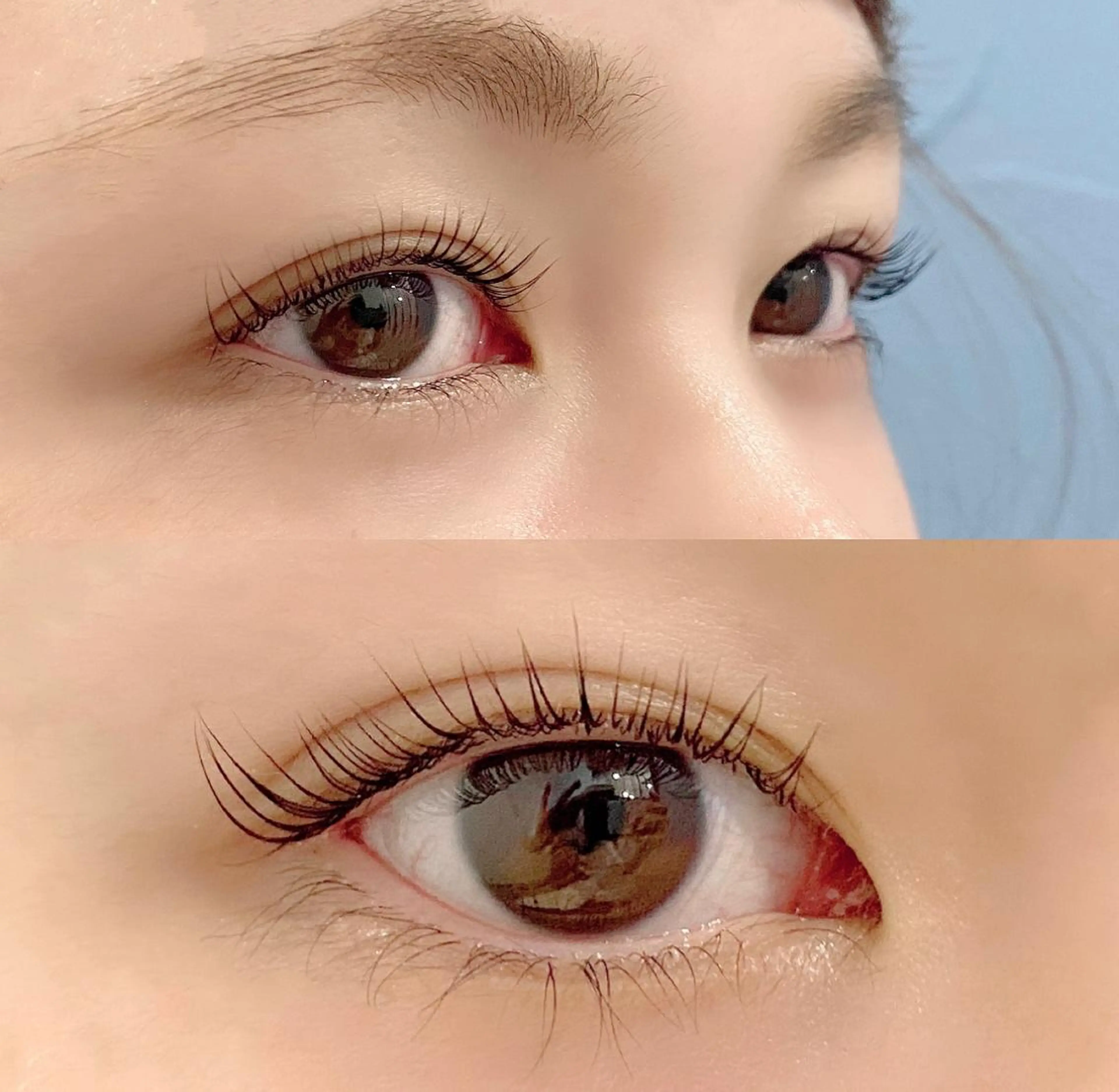 パリジェンヌラッシュリフト/トリートメントまつ毛パーマ🌼(アイシャンプー＋ケラチントリートメント込)の写真