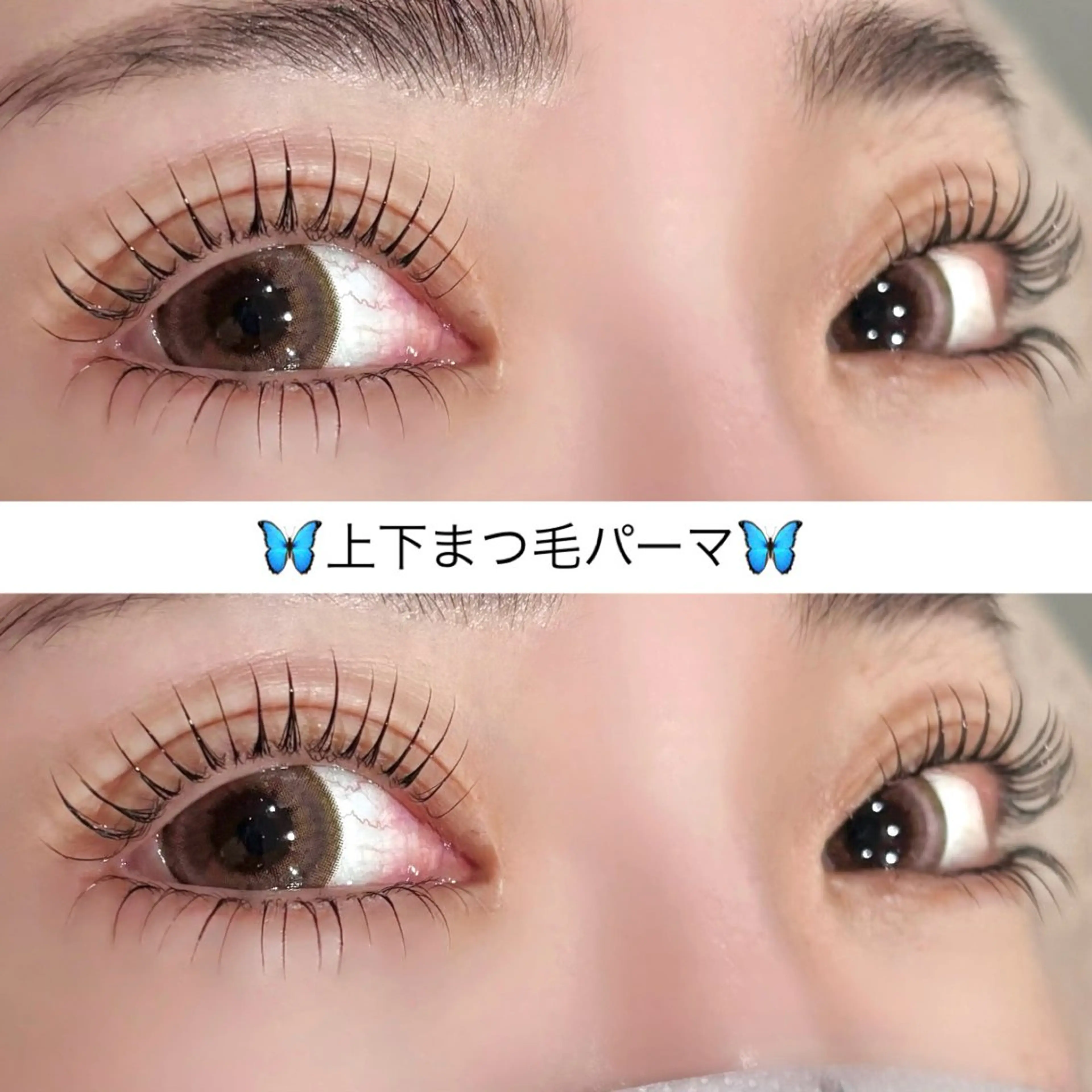 マツエク・マツパ マツパ Garland eyelash所属・Garlandeye KOTOHIのマツエク・マツパデザイン