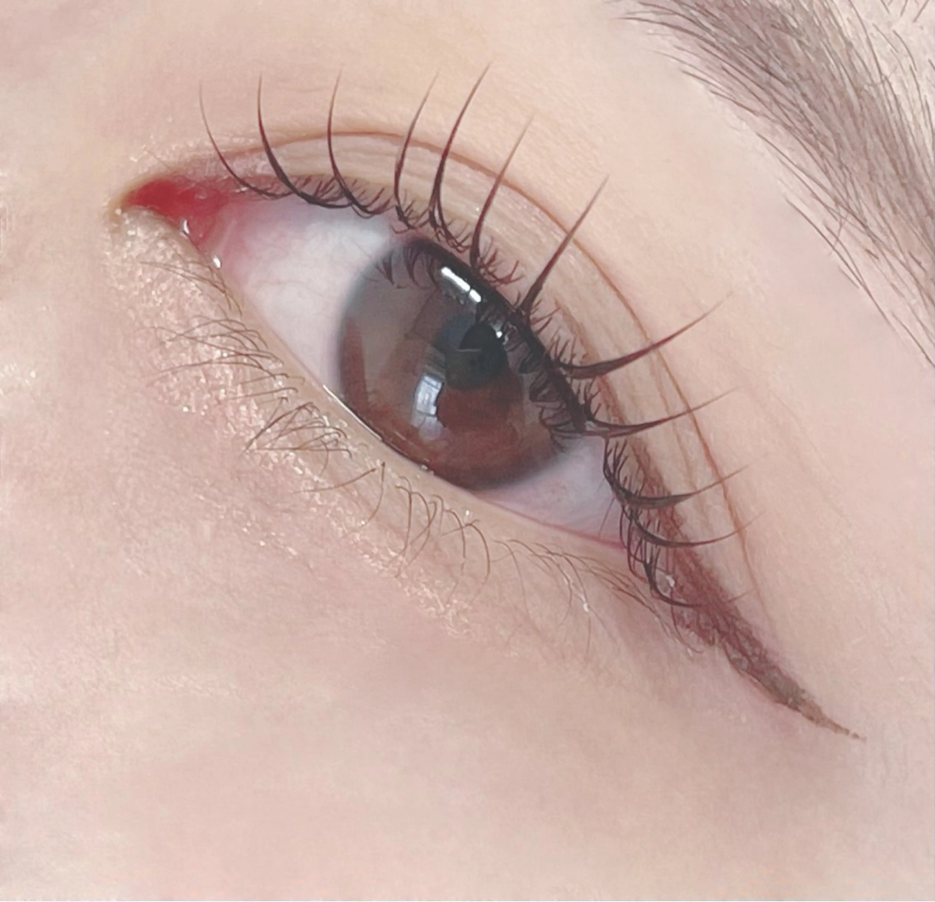 ミニモ平日限定価格🌸12月末まで平日限定ケラチンラッシュリフト5200→4300円　美容液込み（1時間15分）の写真