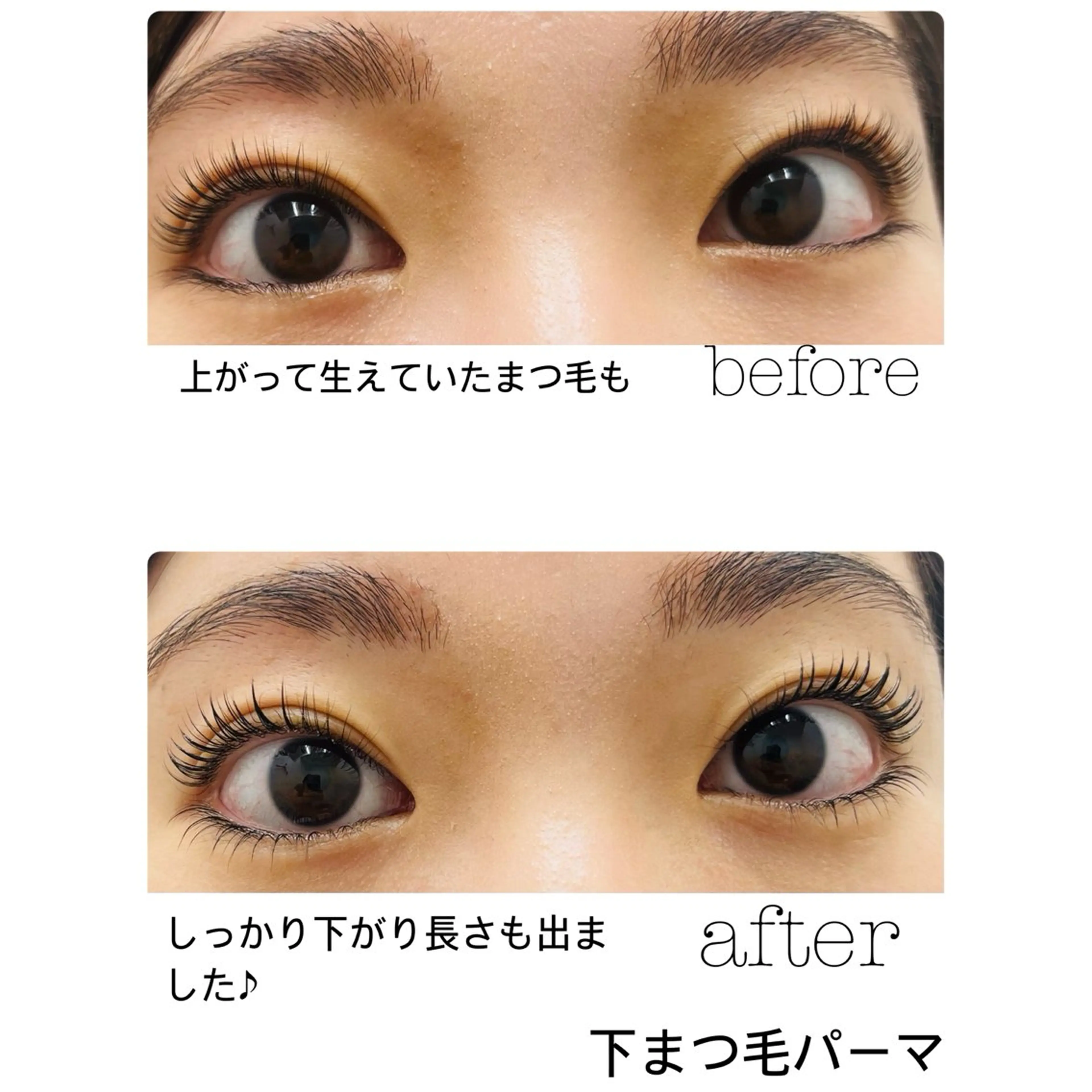 下まつ毛パーマ　保湿コーティング付き👀の写真