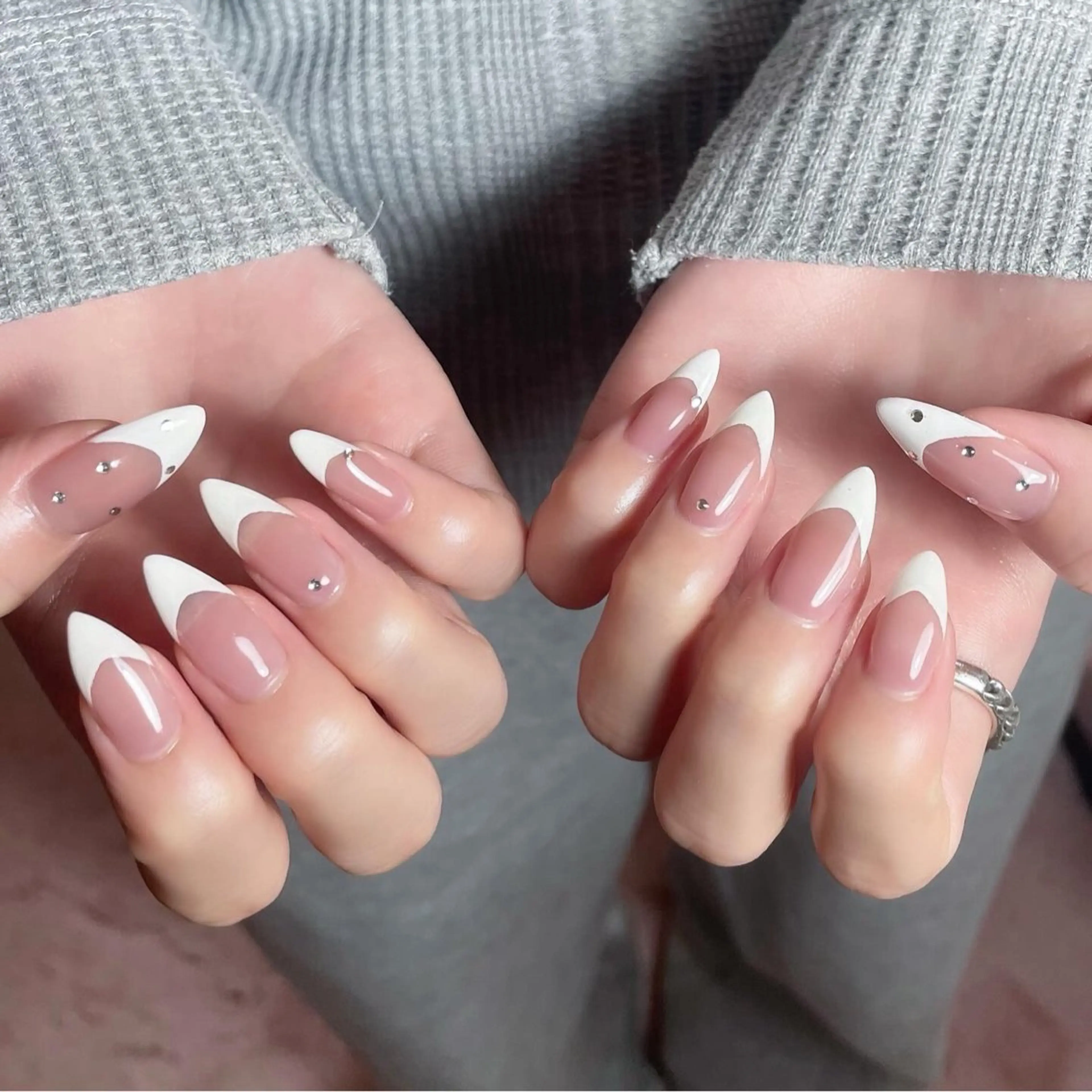 オフなしフレンチの写真