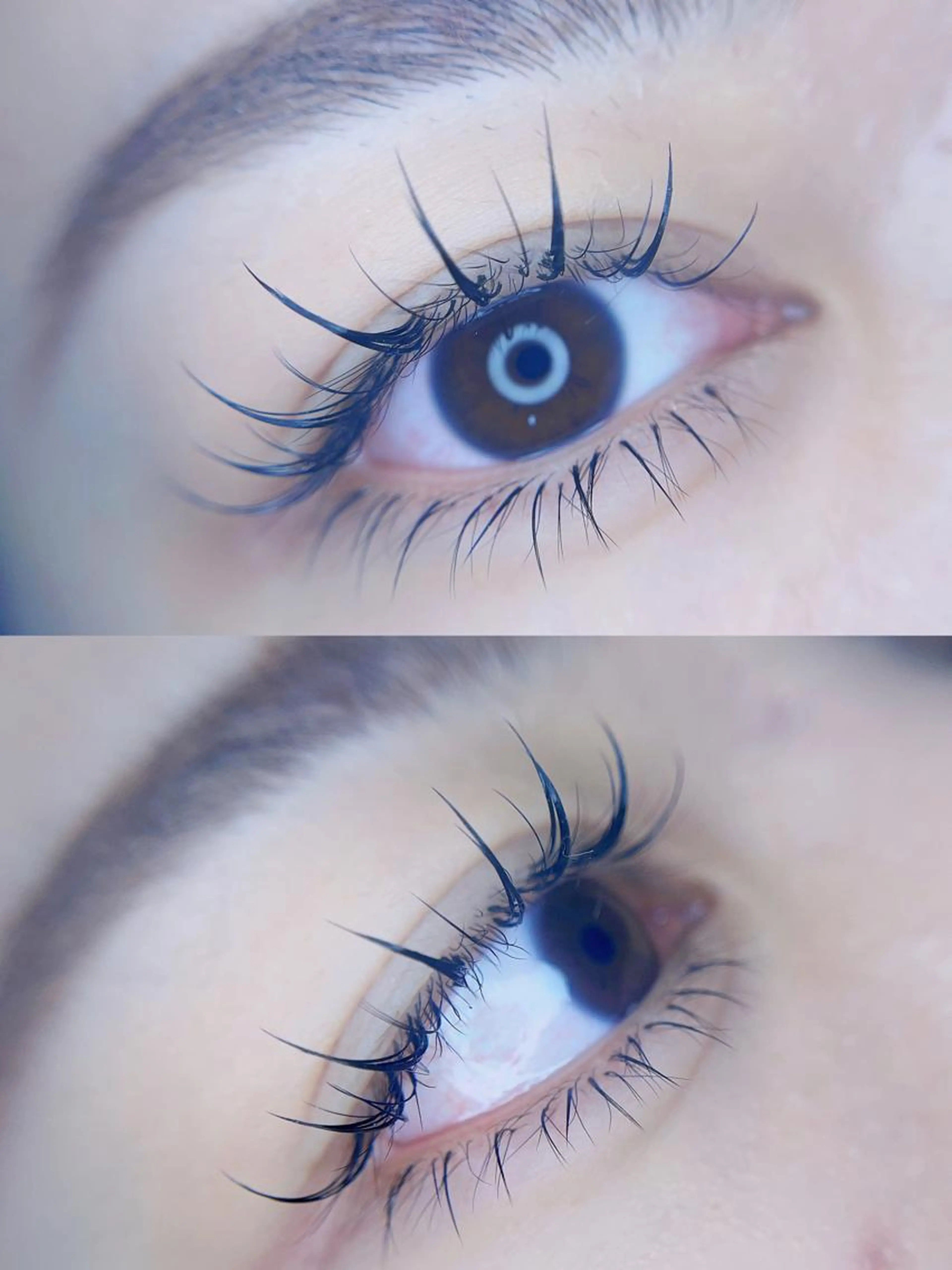 フラットラッシュ（上）80本+フラットラッシュ（下) 20本+キープ美容液の写真