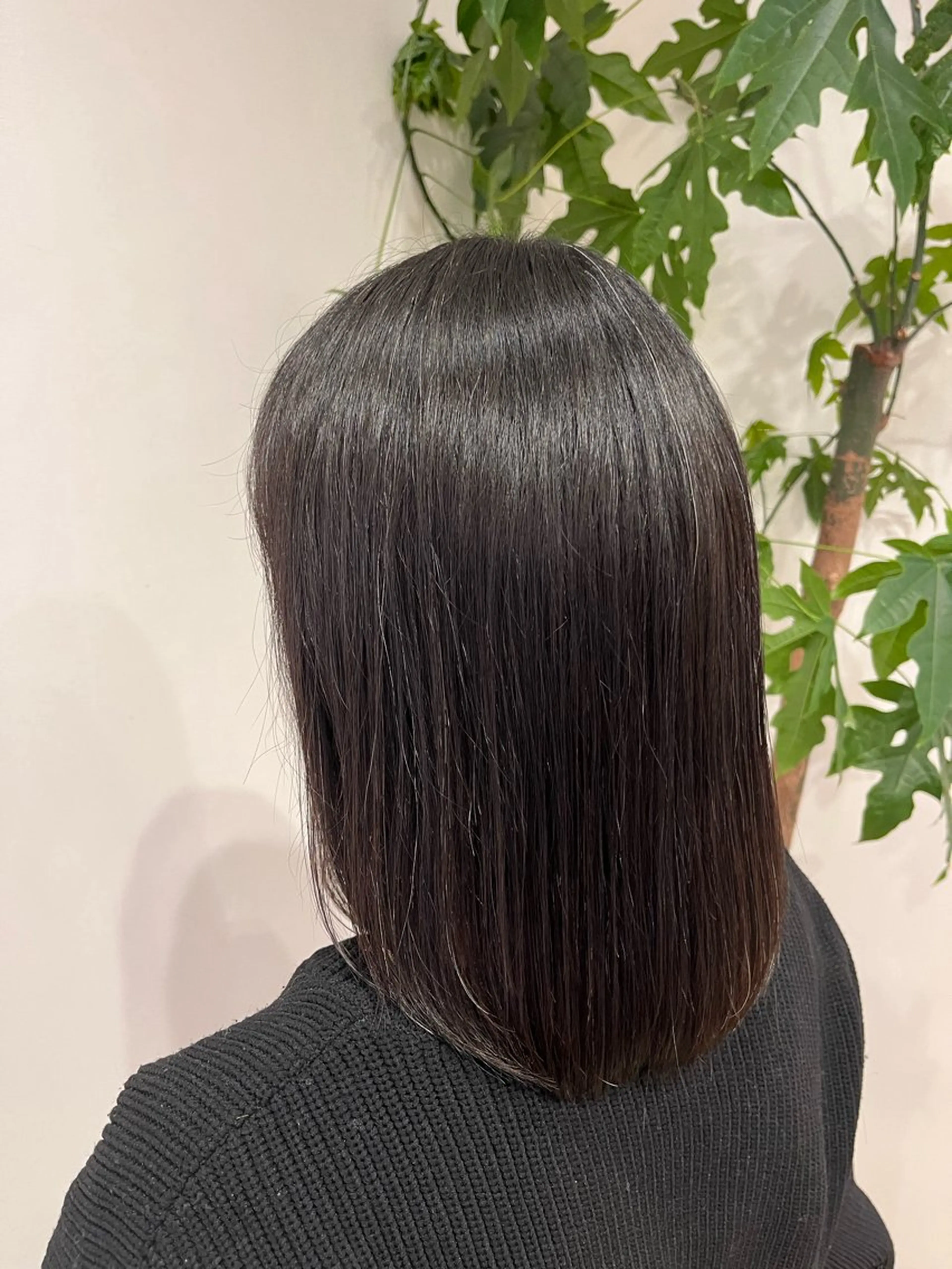 セミロング ✨山岸　泰輝 ARISE✨のヘアスタイル