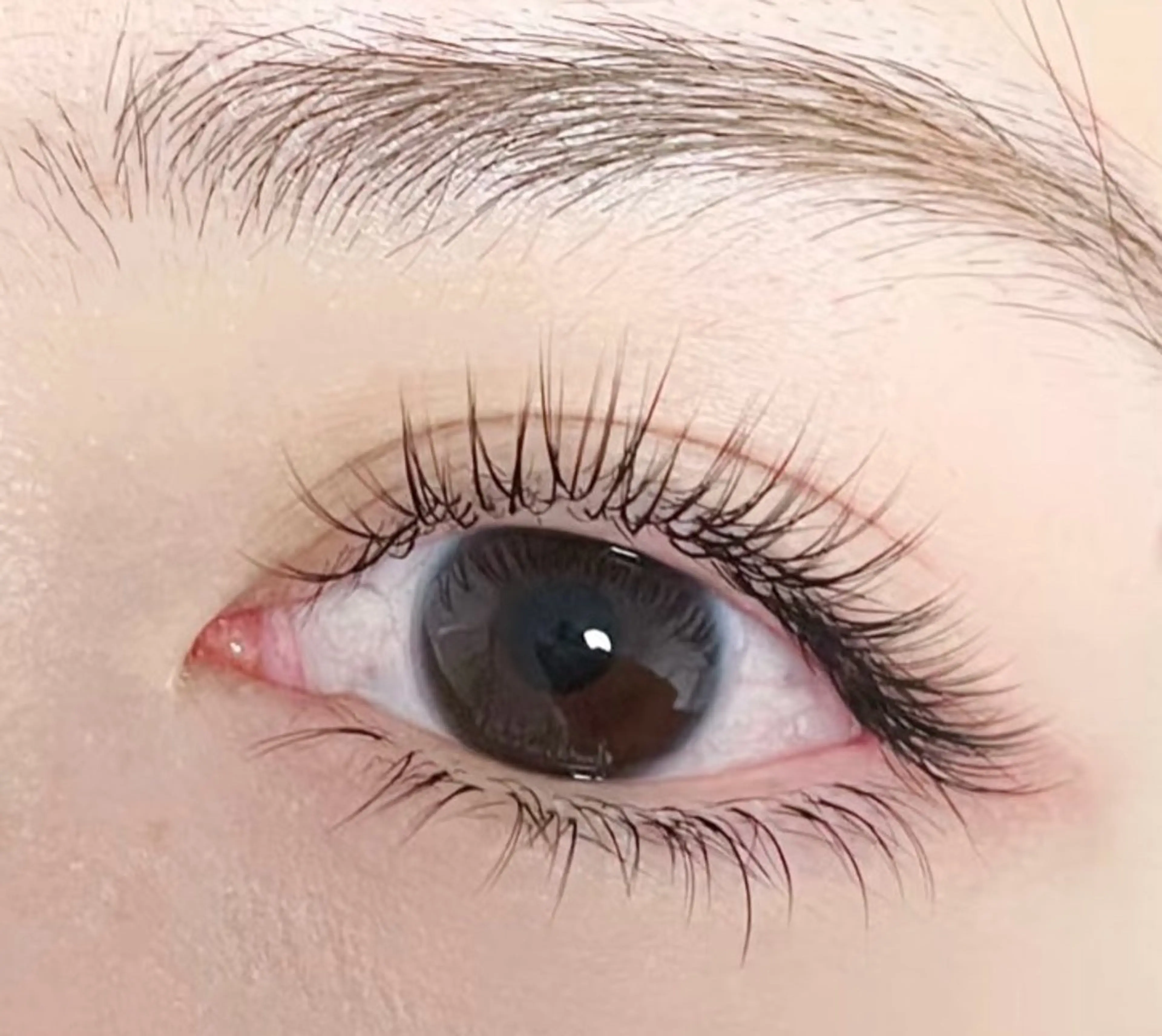 パリジェンヌ＋フラットマットラッシュ120本の写真