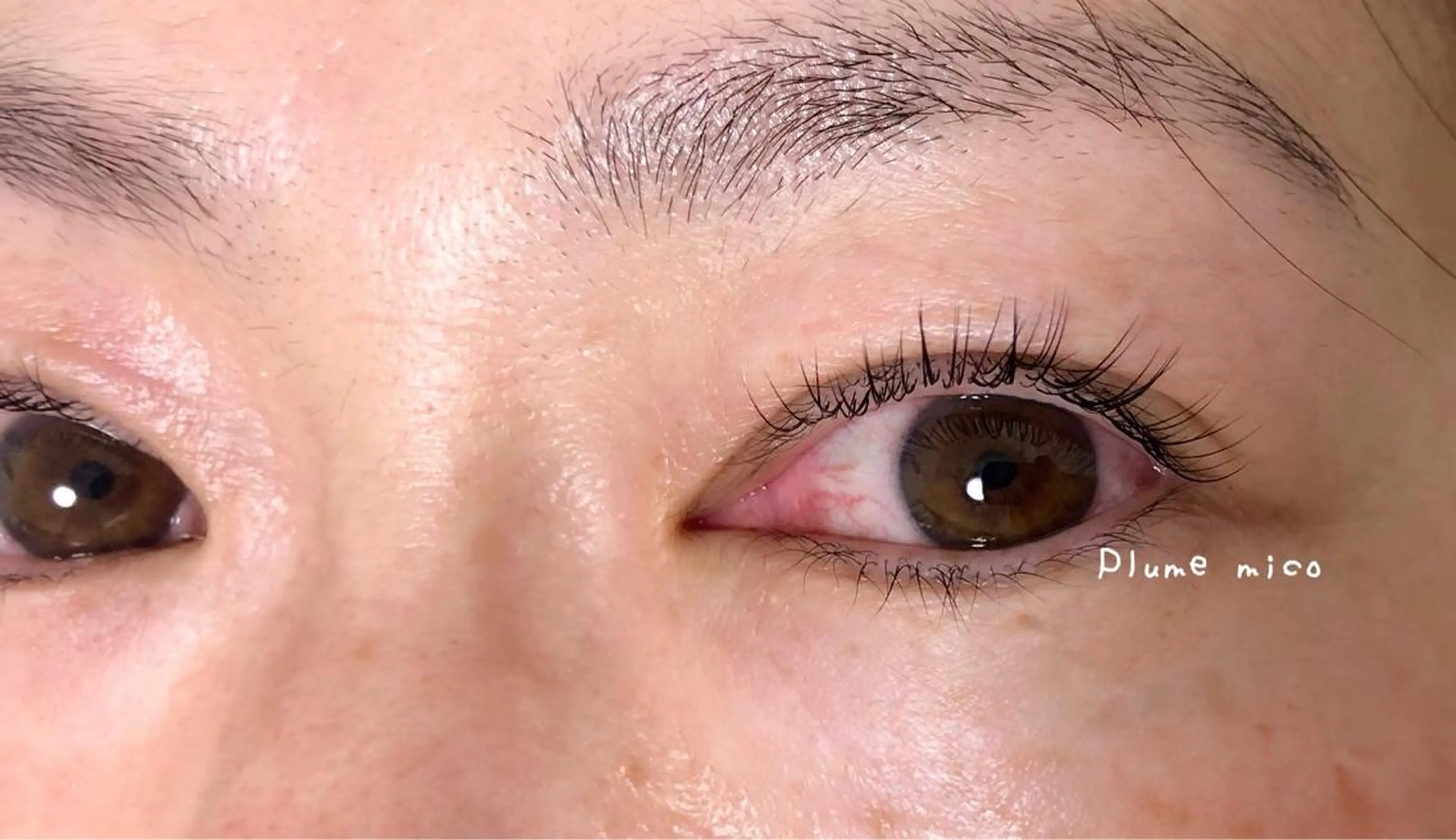 マツエク・マツパ マツエク Plume micoのマツエク・マツパデザイン