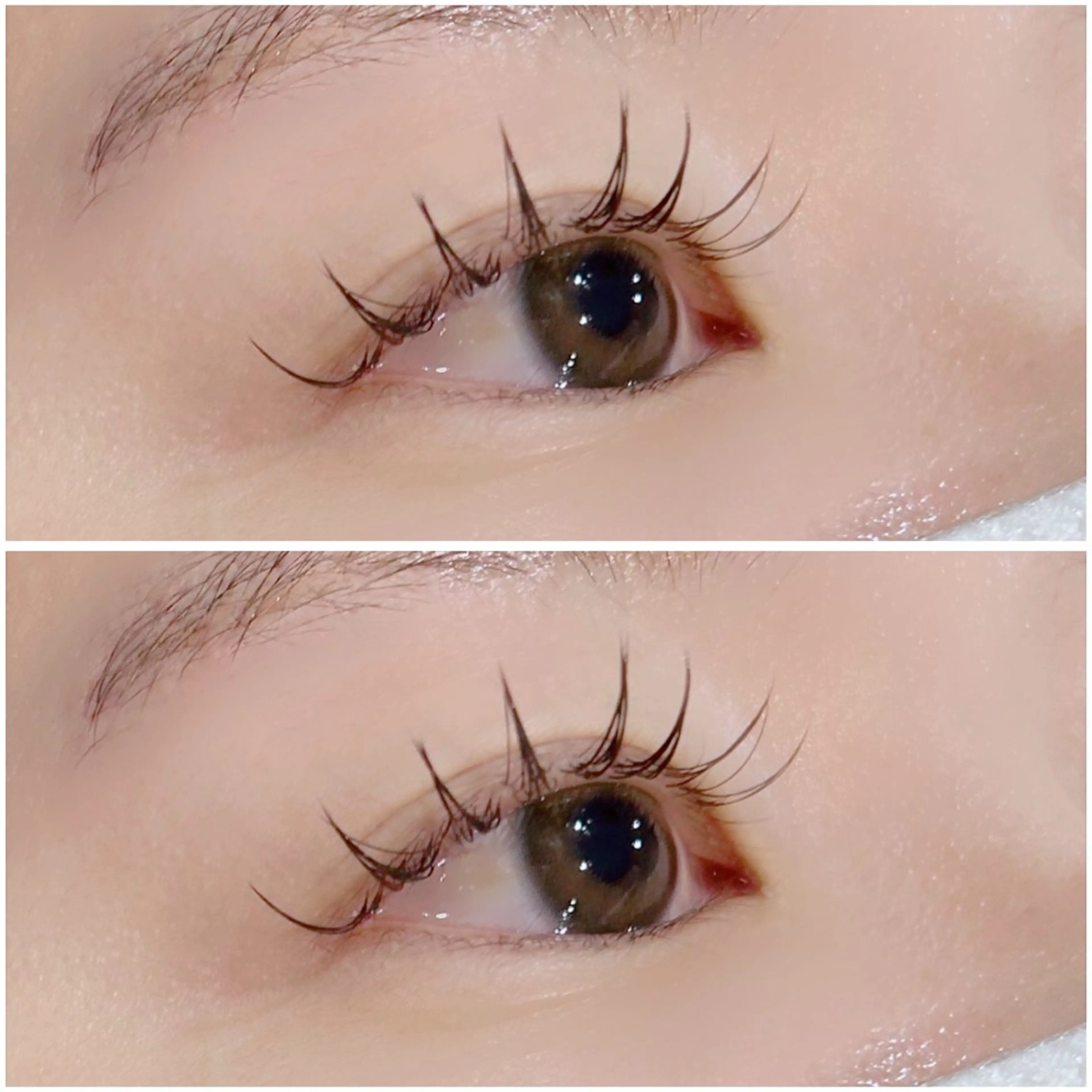 ダブルフラットラッシュ 60束 ¥6230→¥5400✨の写真