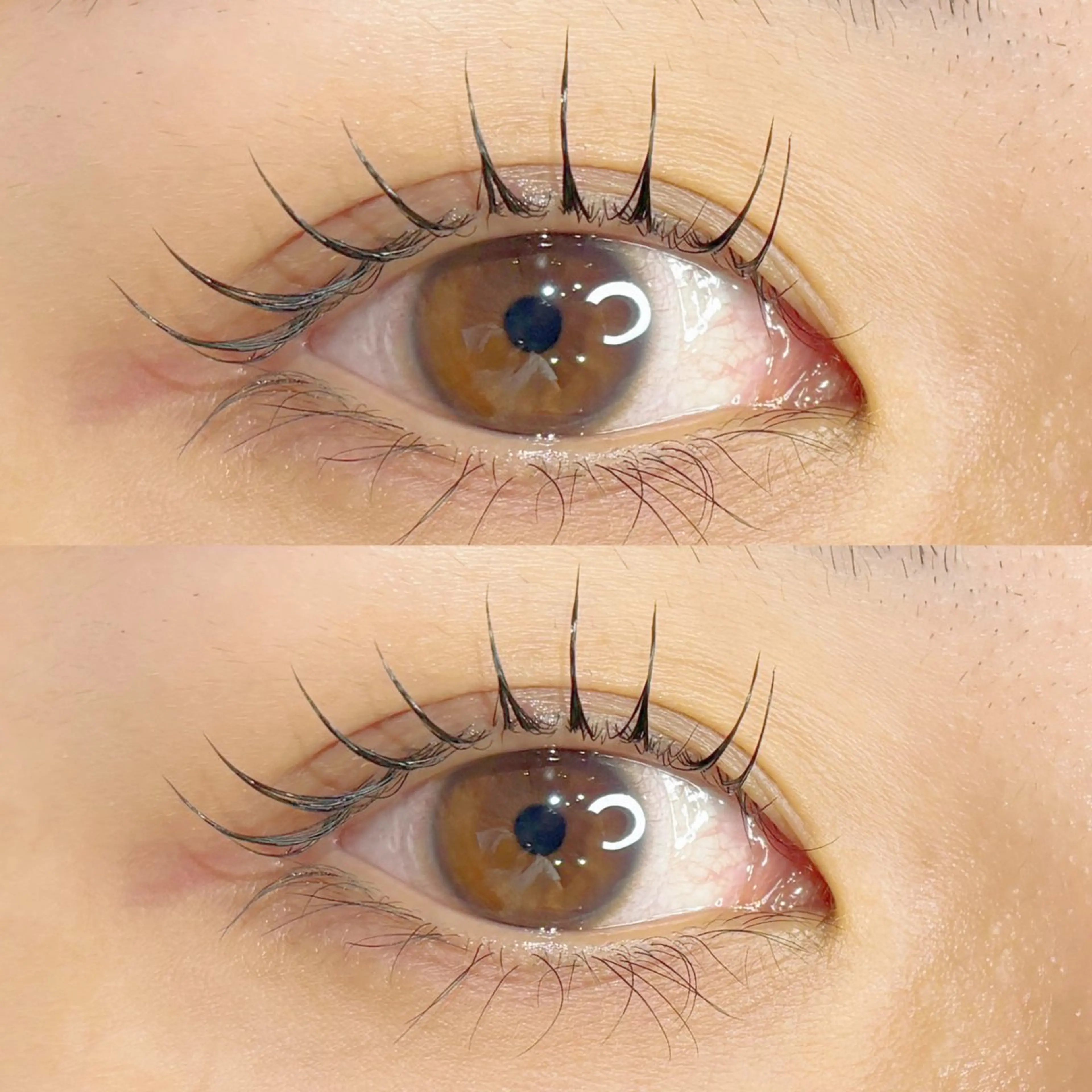 《❤️本日限定❤️》まつ毛パーマ👀🤍（パリジェンヌに変更+500円）束感仕上げ美容液コーティング付き🌼*･の写真