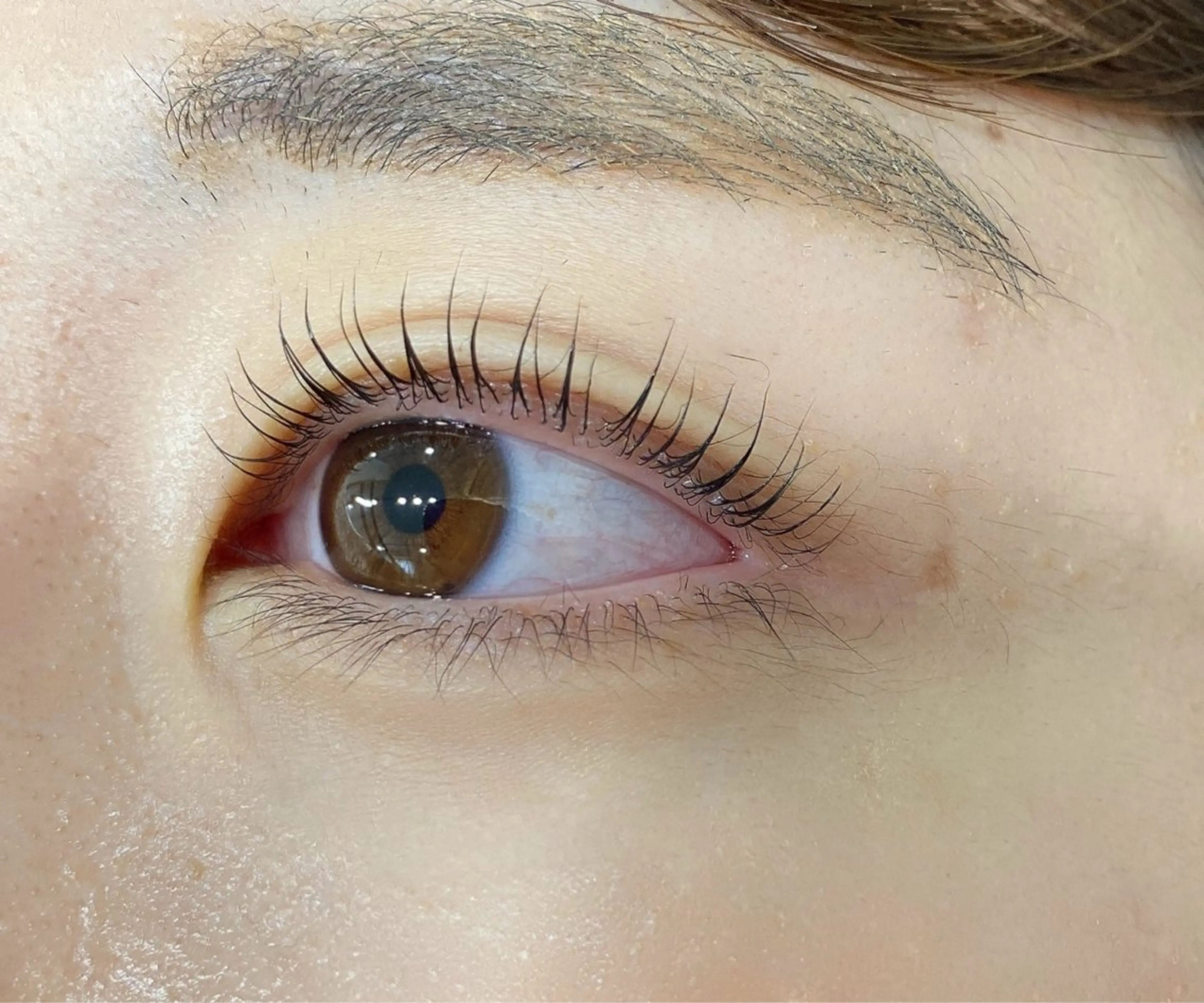 マツエク・マツパ まつげパーマ マツパ 須貝 スガイの眉毛・アイブロウイメージ