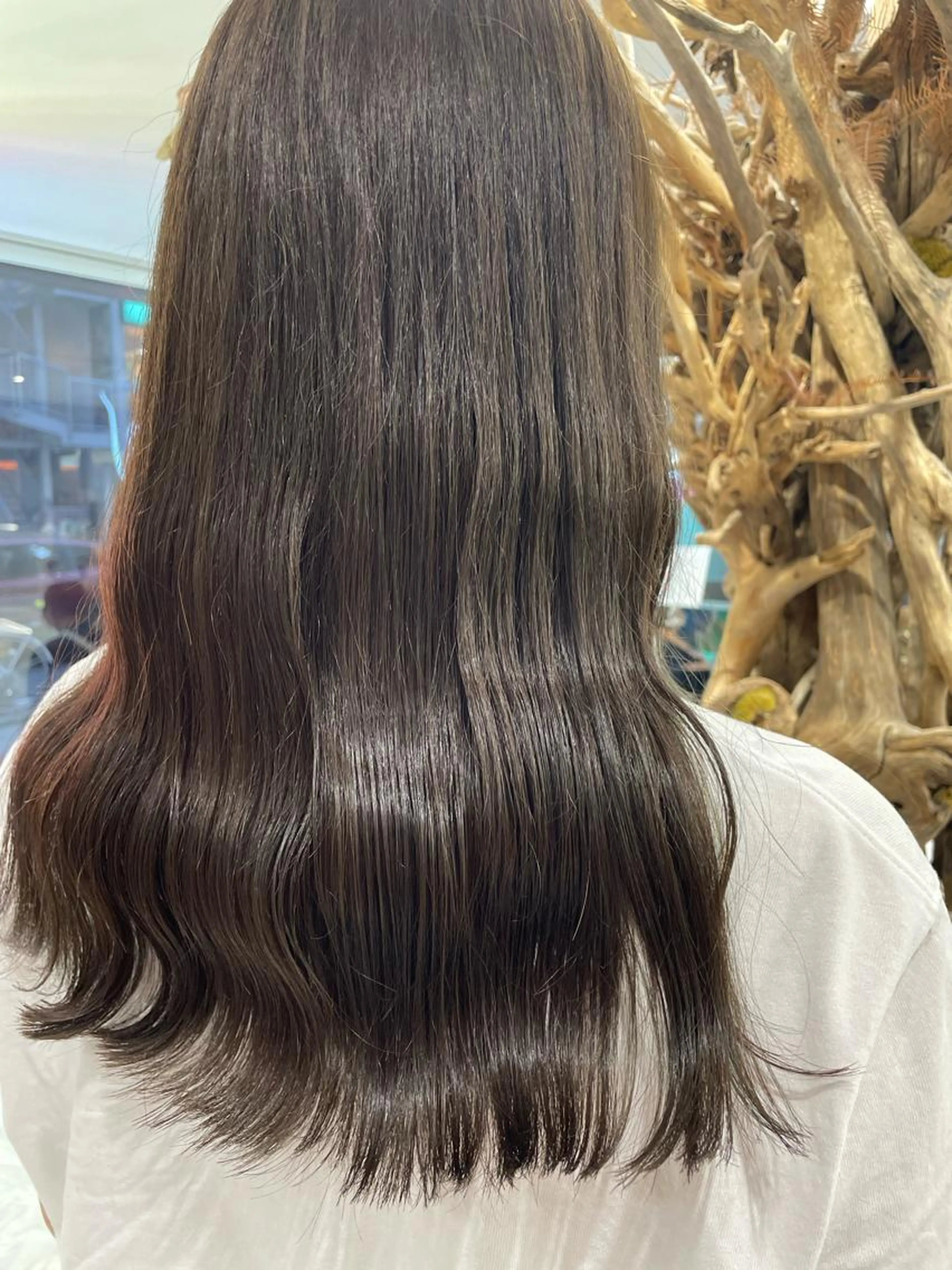 【ブリーチなし】🌿寒色系ツヤカラー🫧(ブロースタイリング別途)の写真